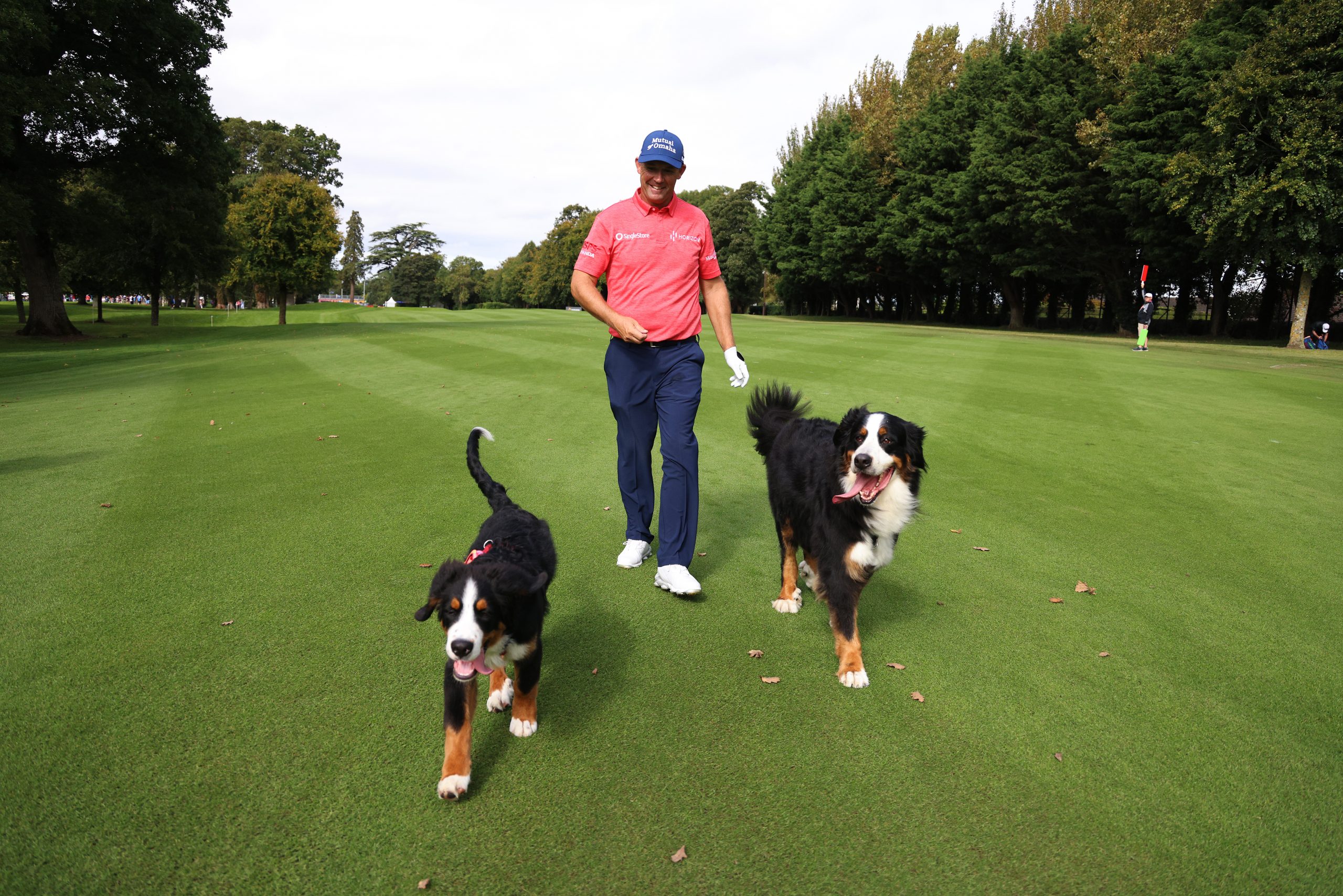 Padraig Harrington photo