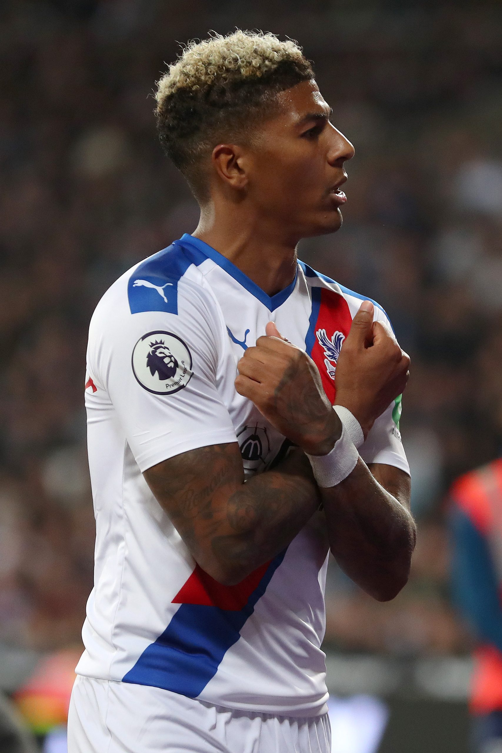 Patrick van Aanholt photo 3