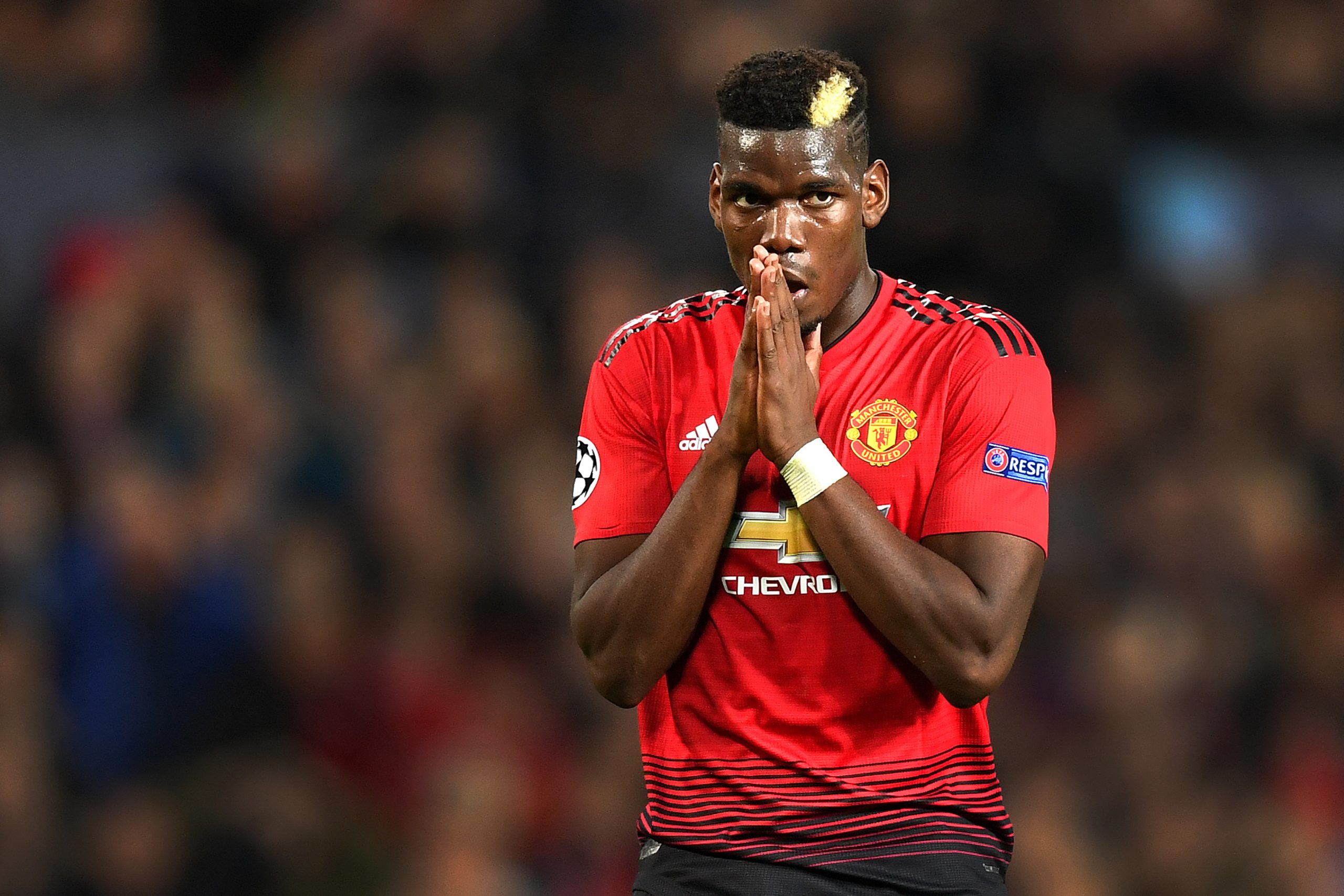 Paul Pogba photo