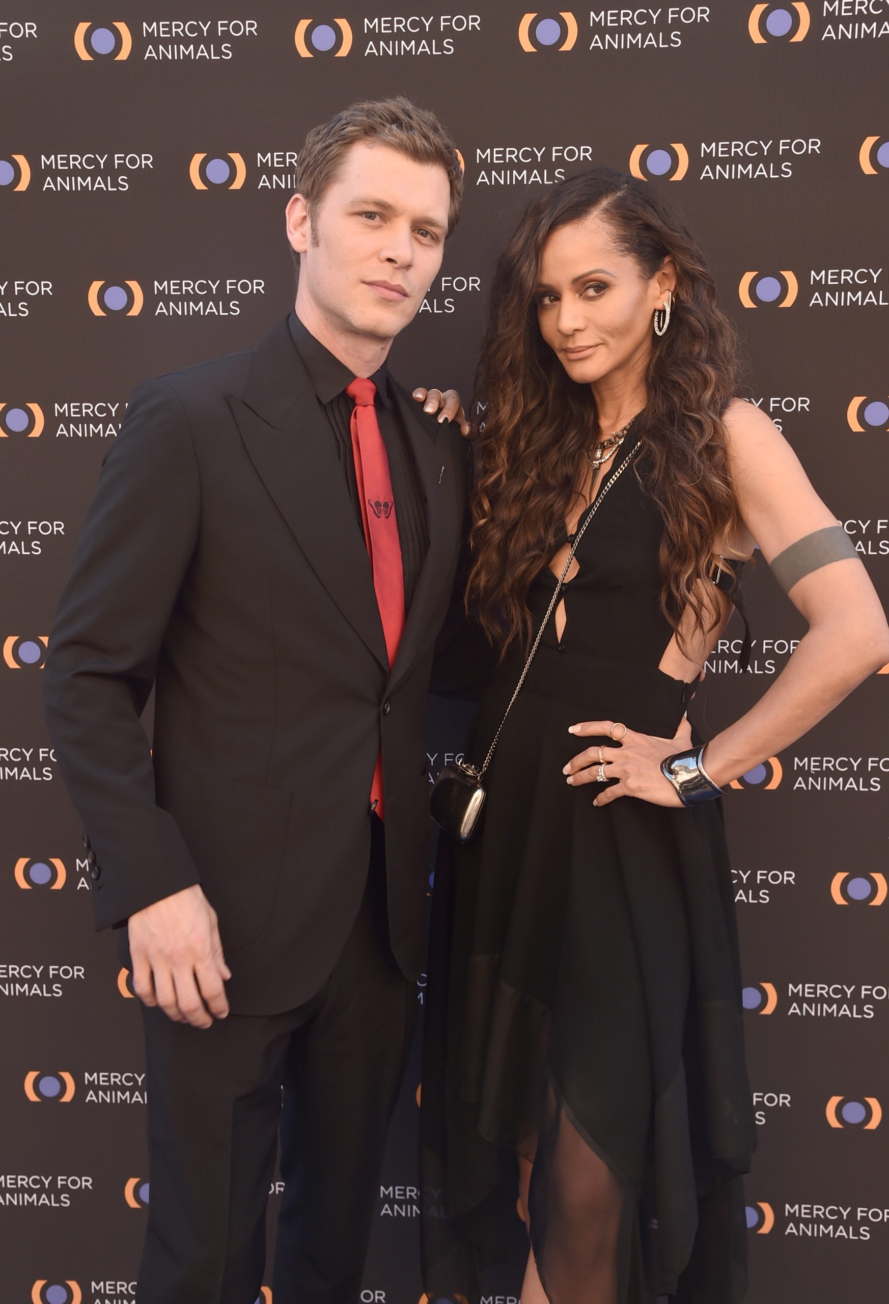 Persia White photo 2