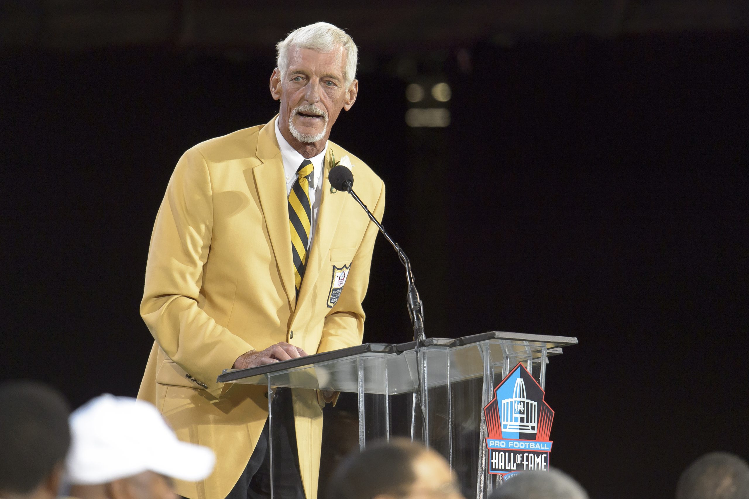 Ray Guy photo