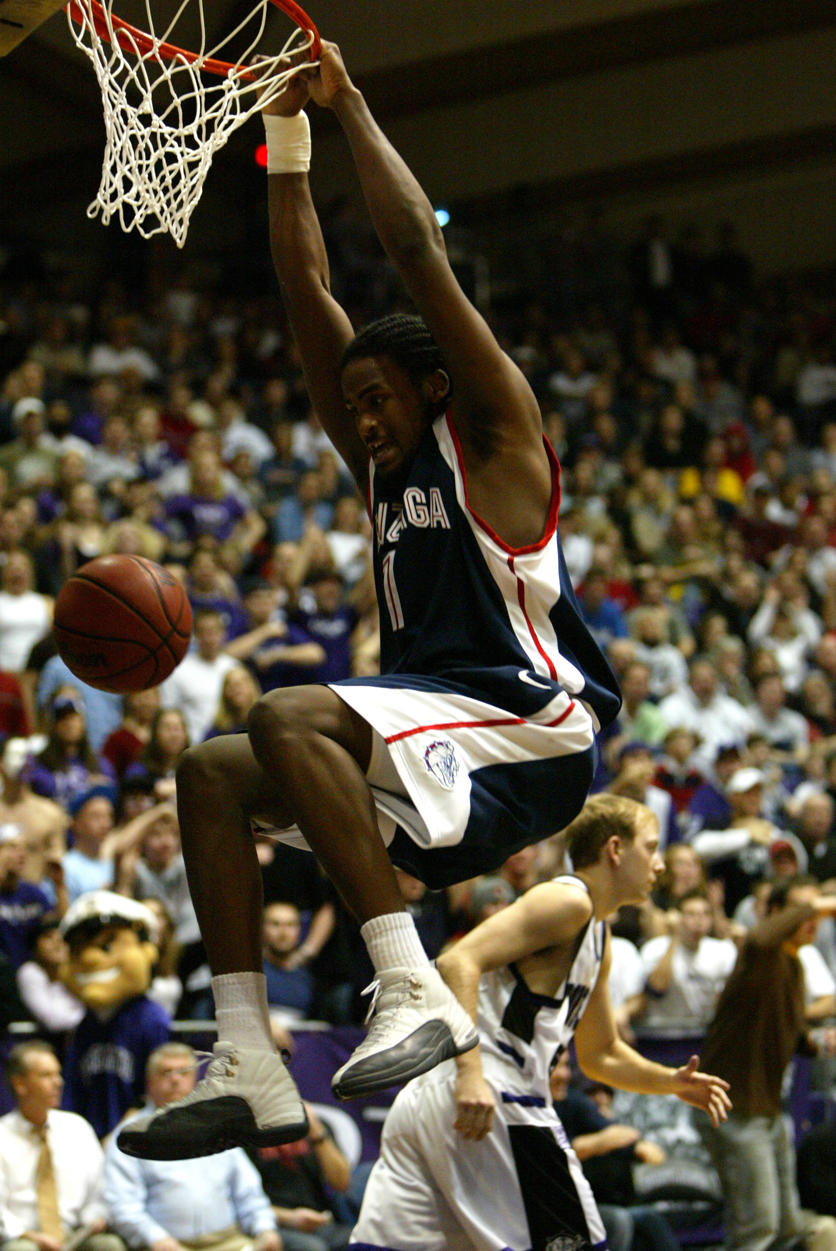 Ronny Turiaf photo