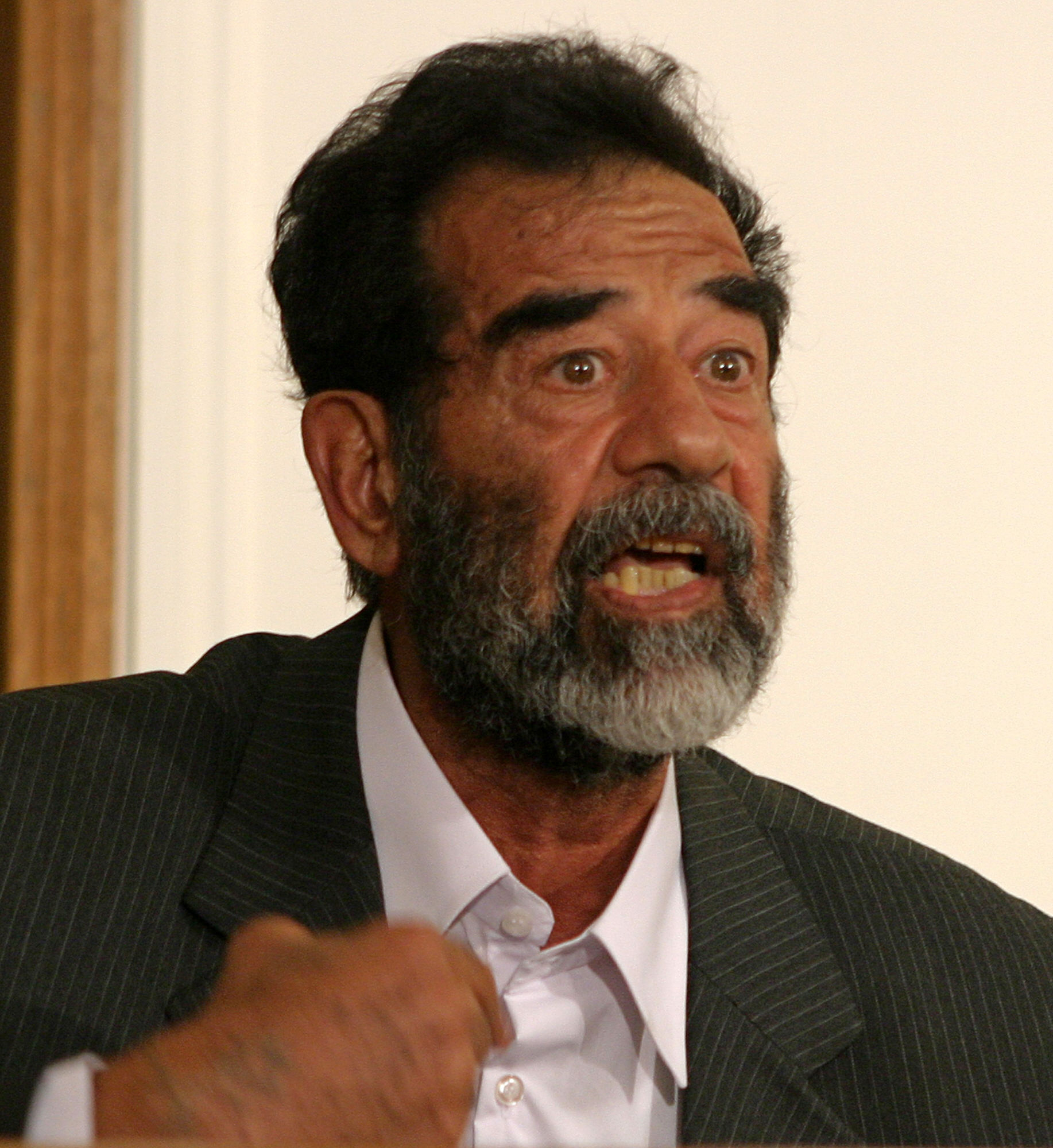 Saddam Hussein photo 2