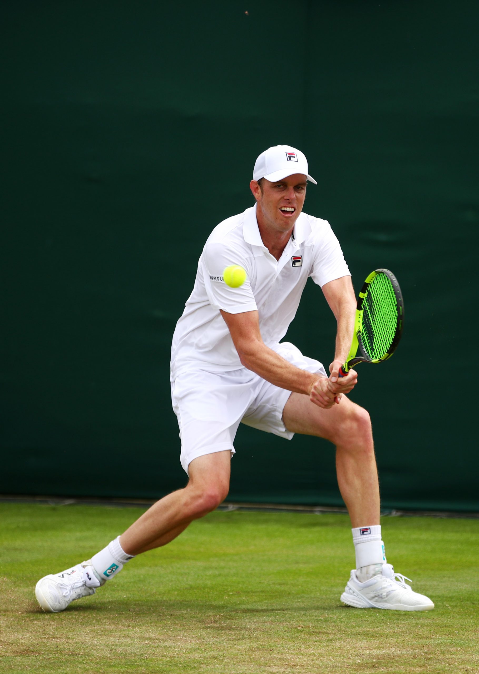 Sam Querrey photo 2