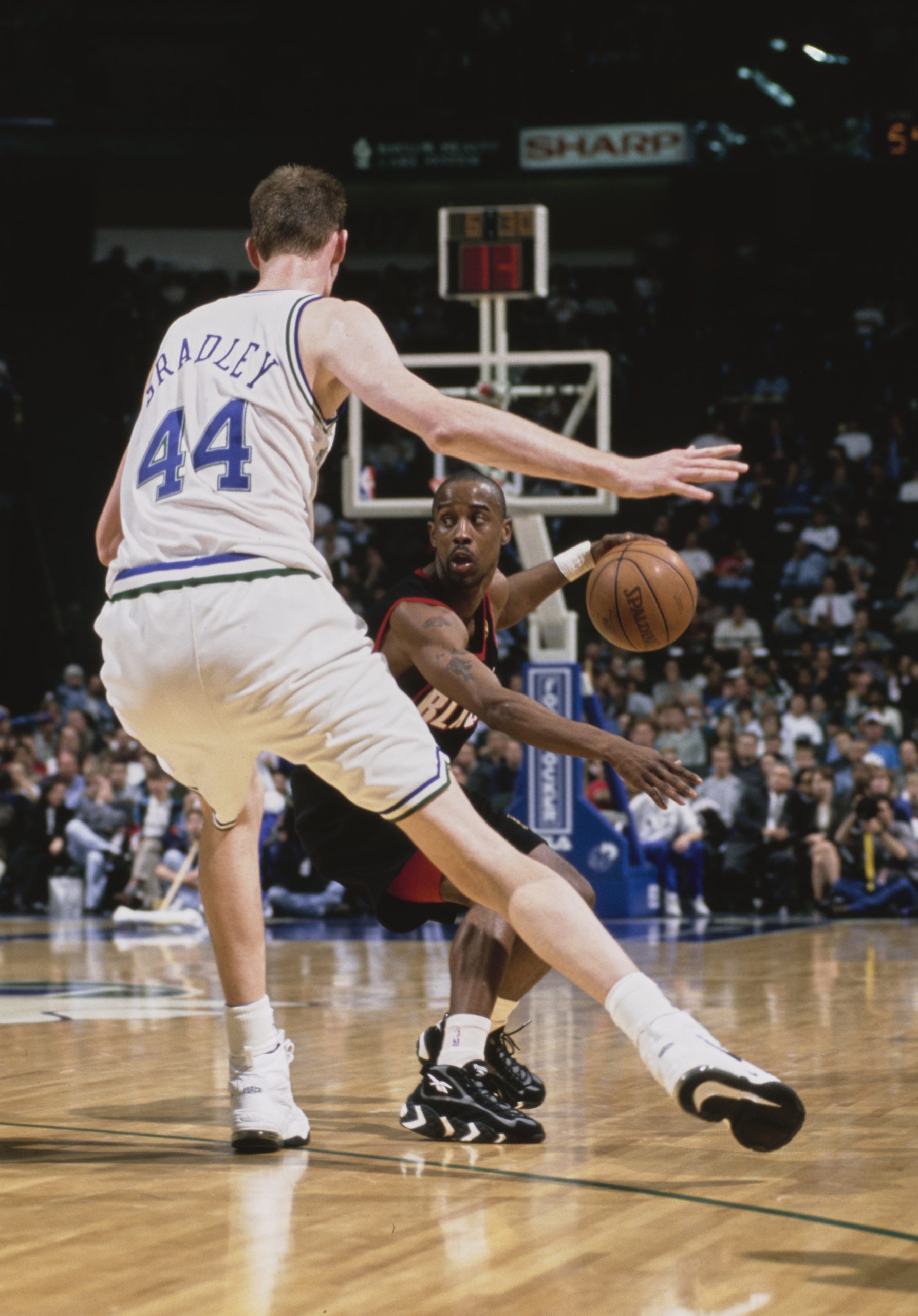 Shawn Bradley photo