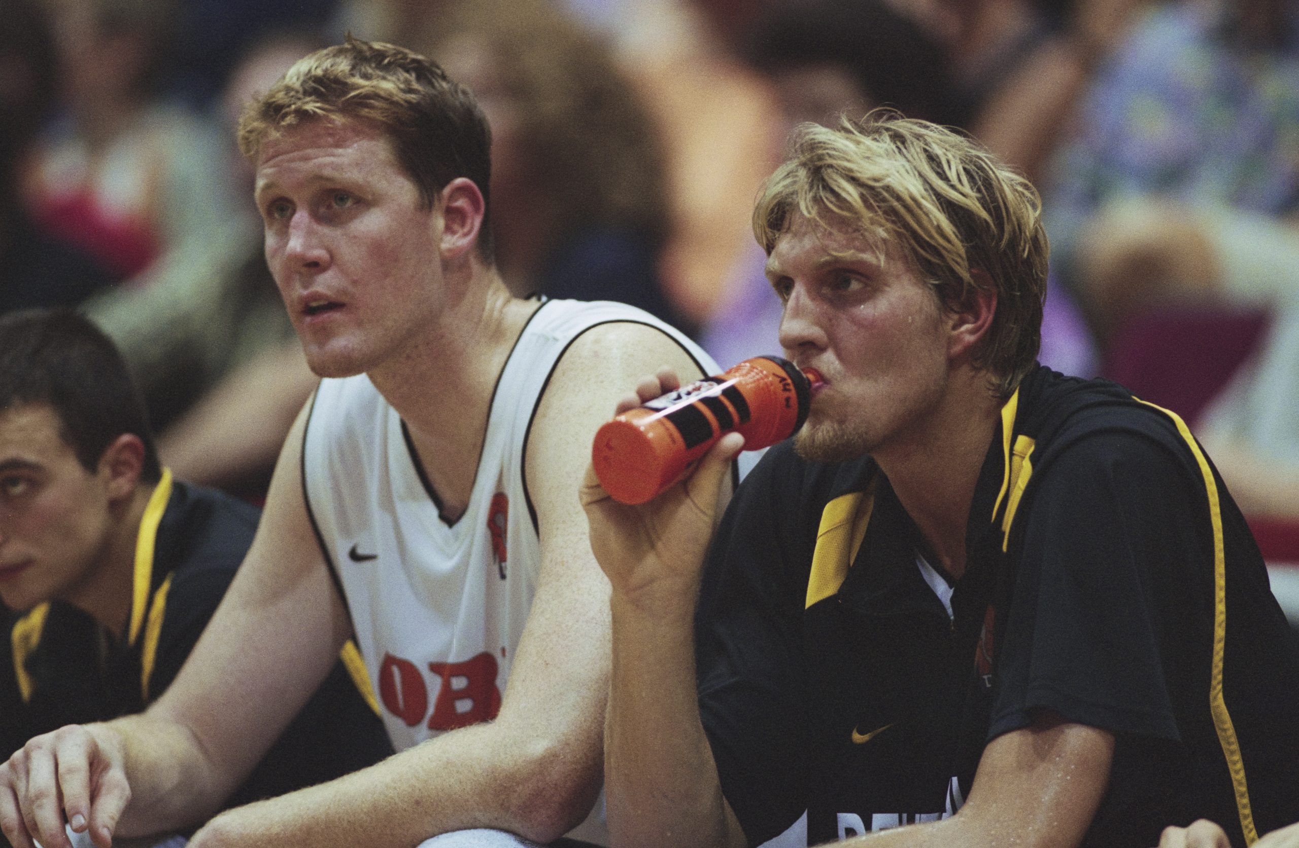 Shawn Bradley photo 3