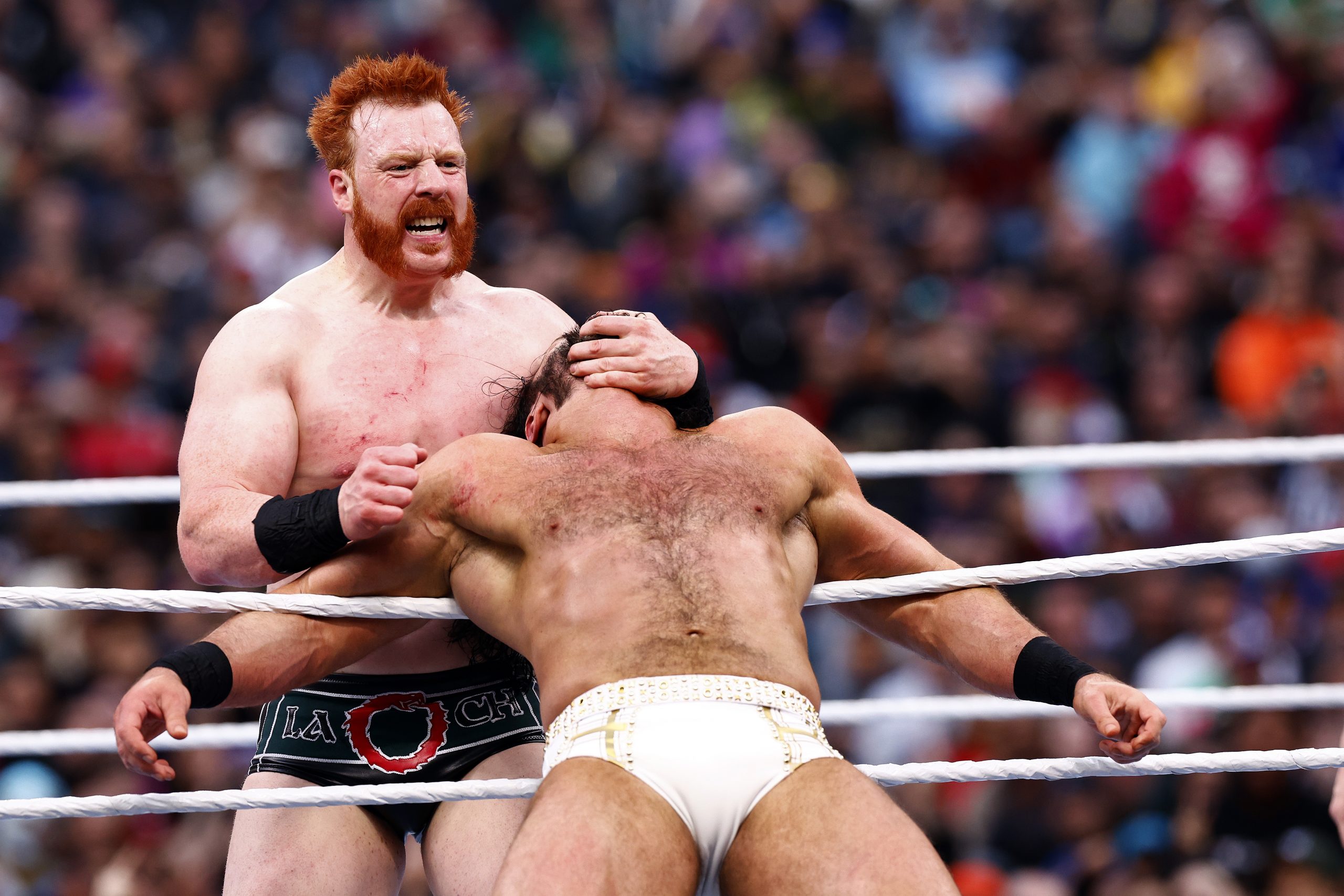 Sheamus photo 2