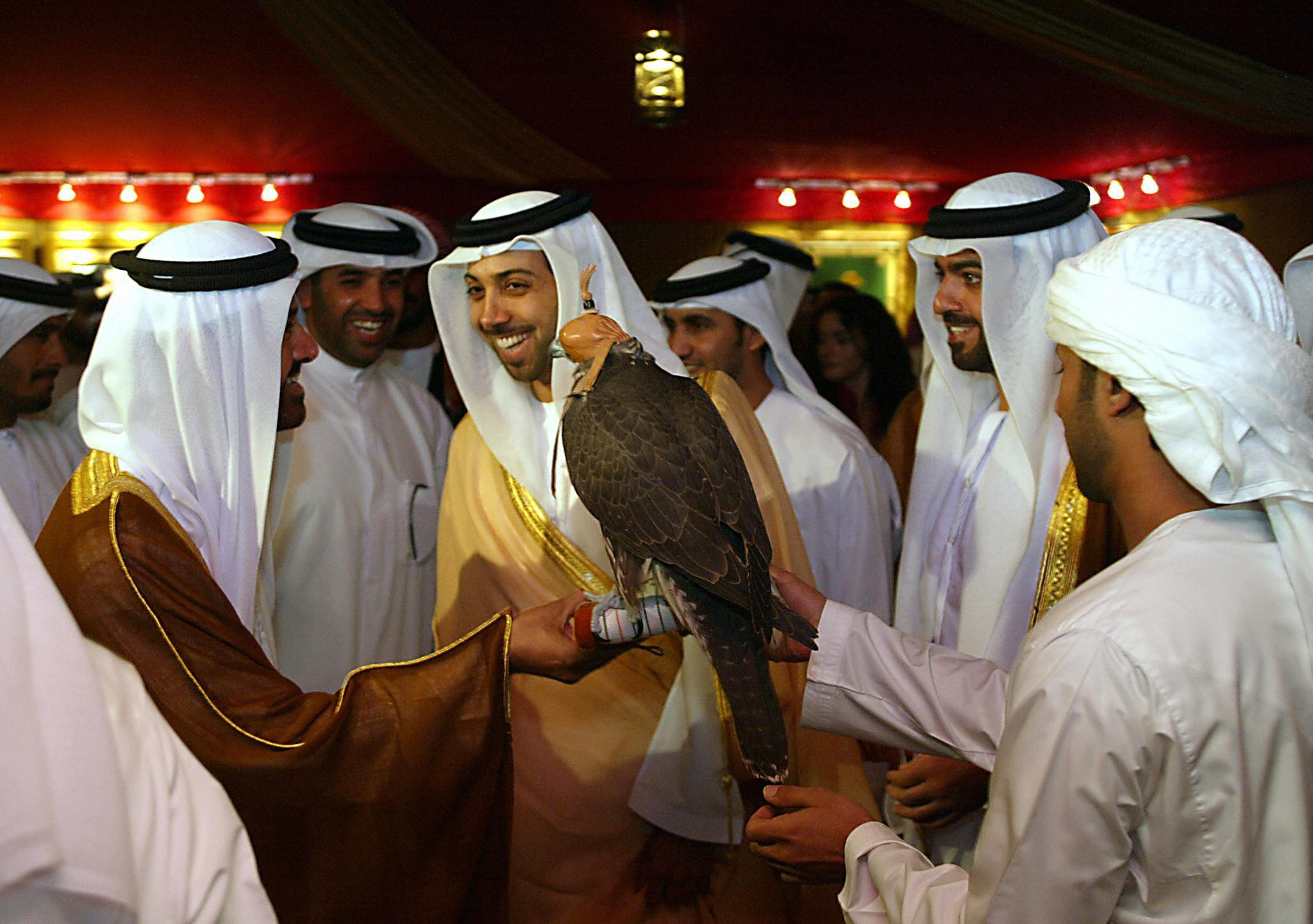 Sheikh Mansour bin Zayed Al Nahyan photo