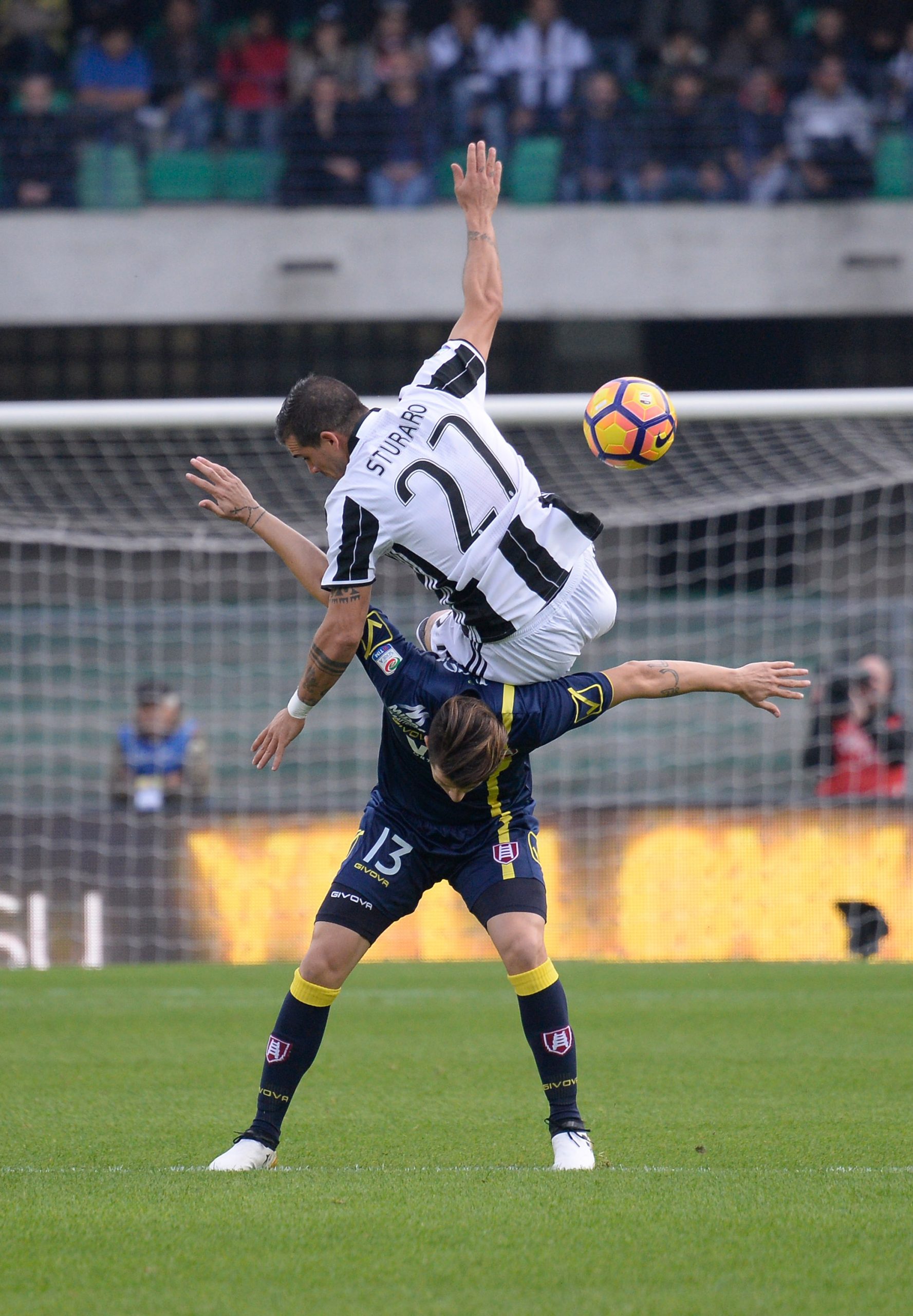 Stefano Sturaro photo