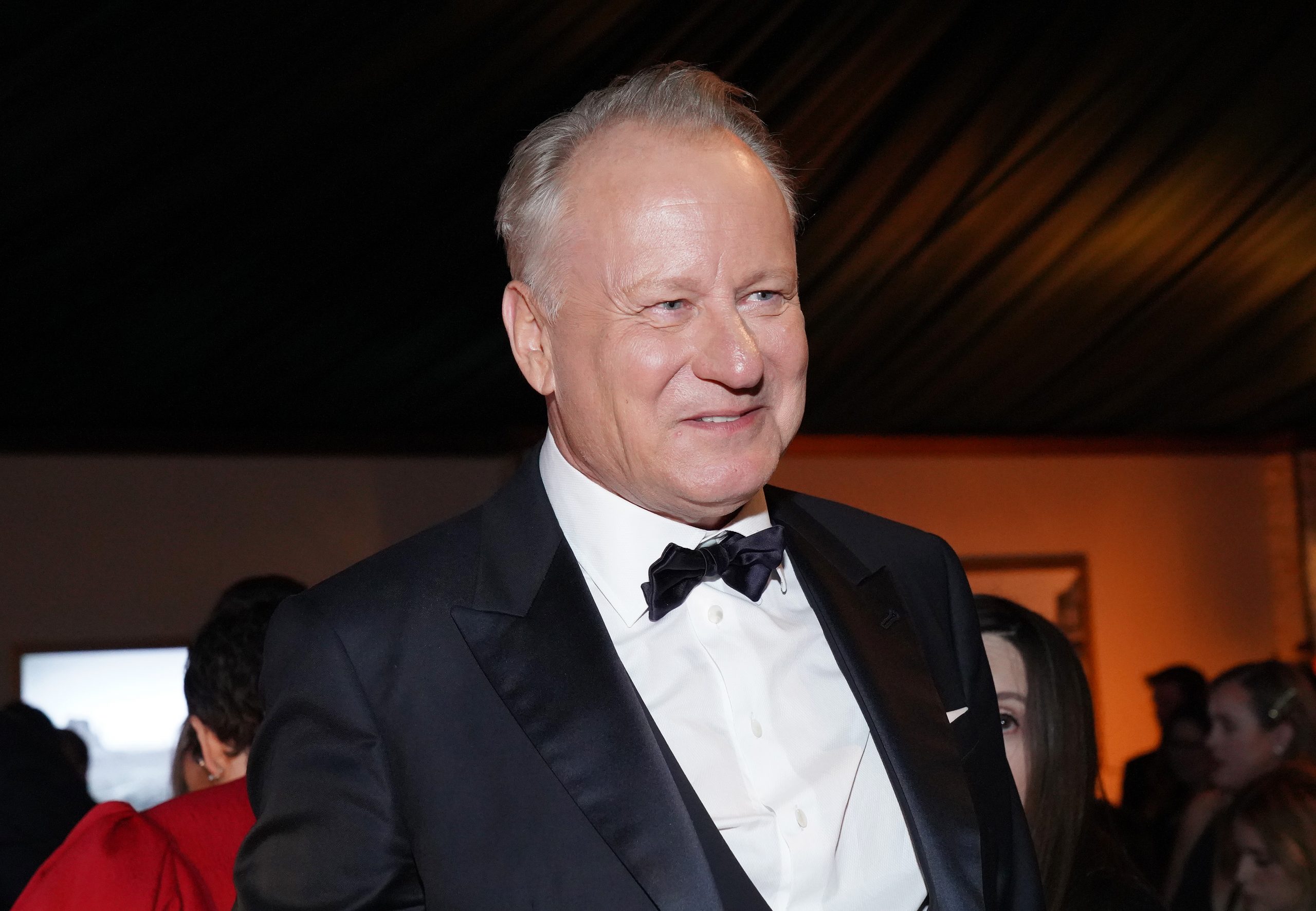 Stellan Skarsgård photo