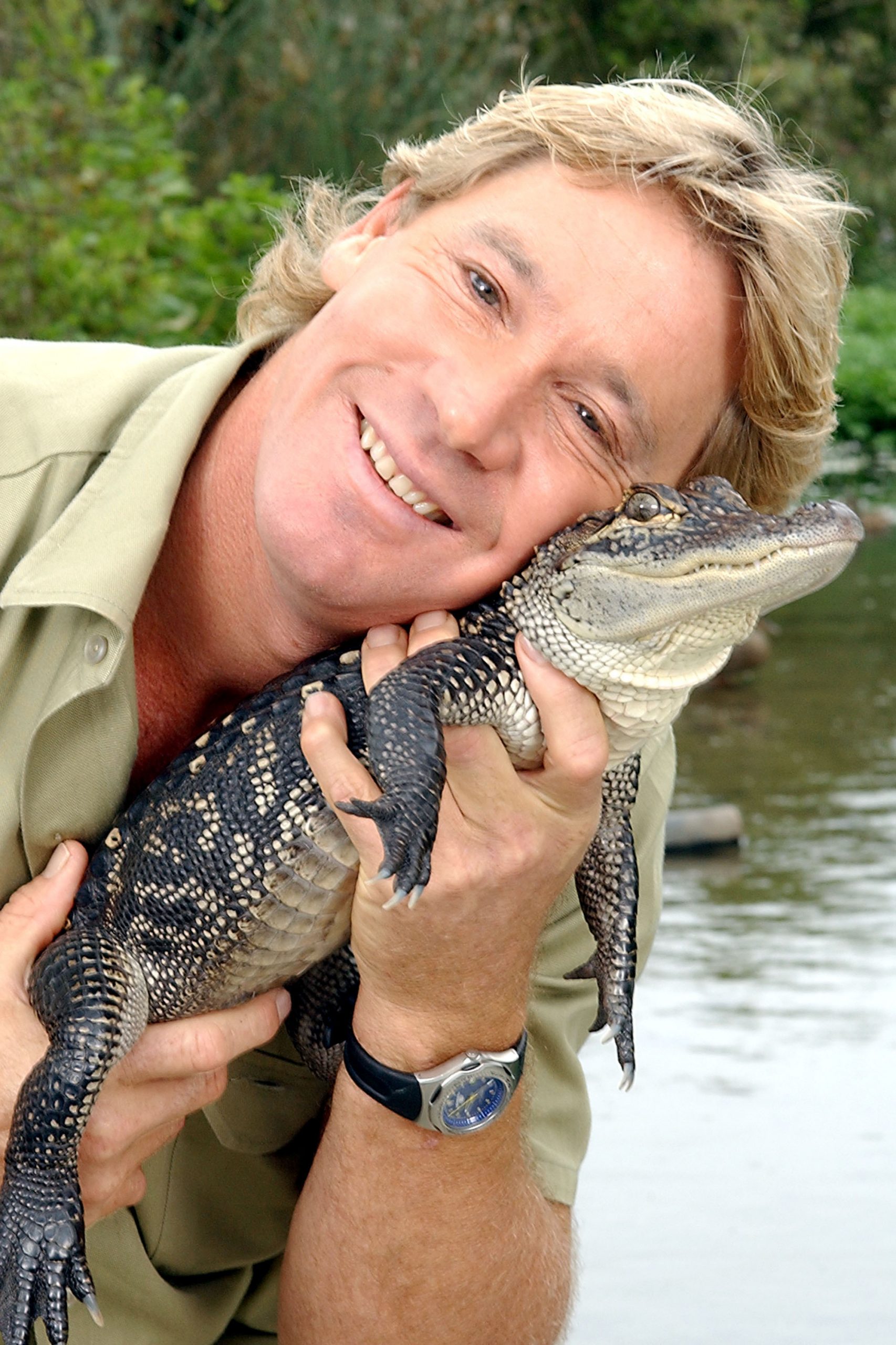 Steve Irwin photo 3