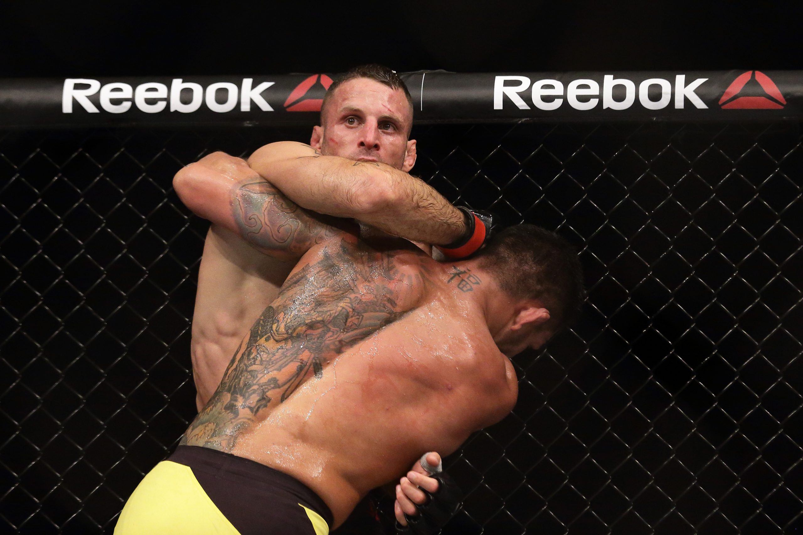 Tarec Saffiedine photo 3