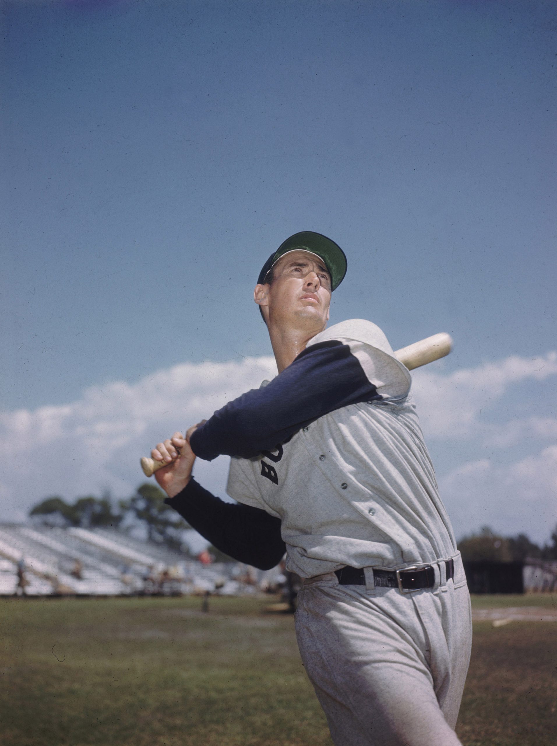 Ted Williams photo 2