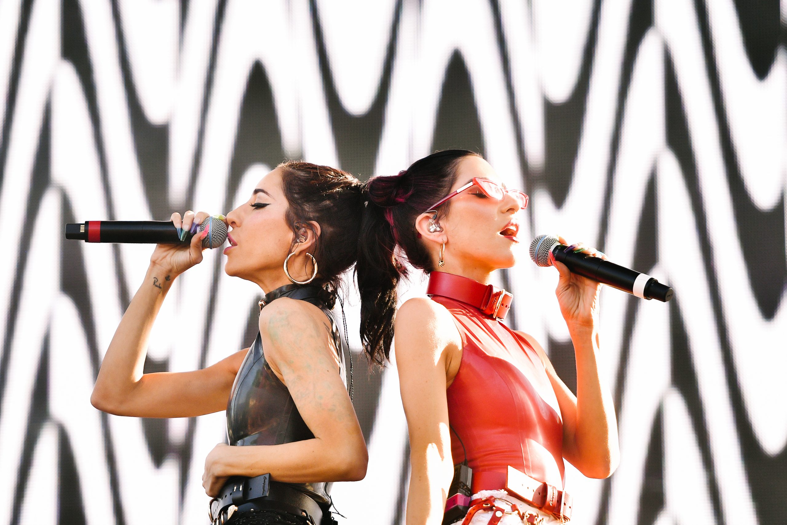 The Veronicas photo 2