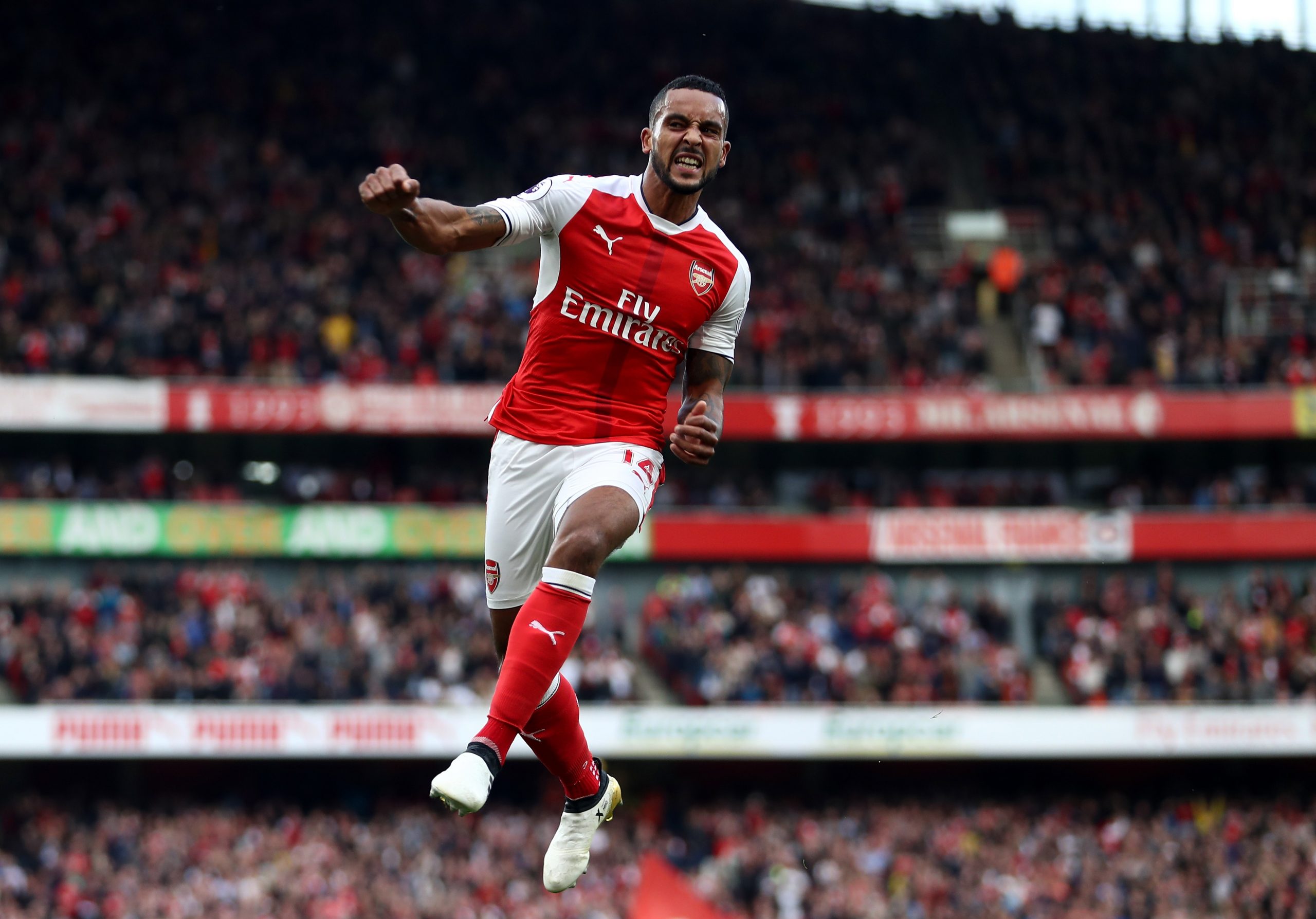 Theo Walcott photo 2