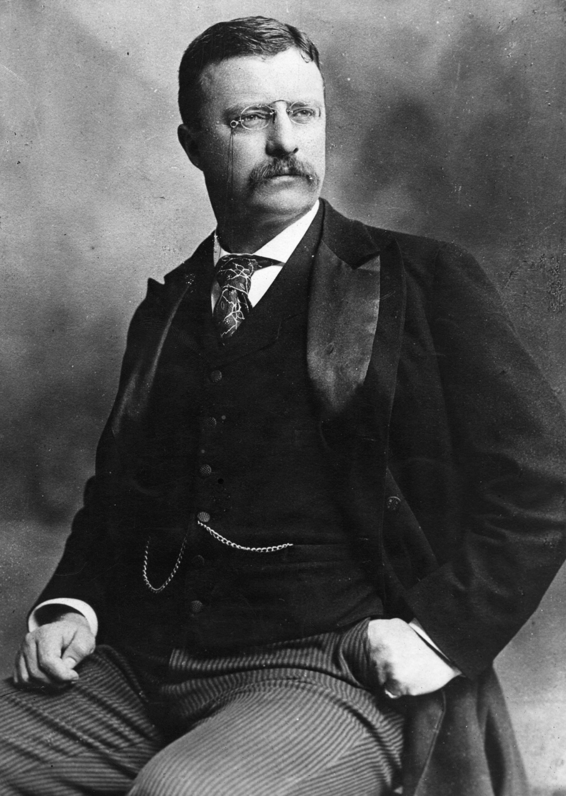 Theodore Roosevelt photo