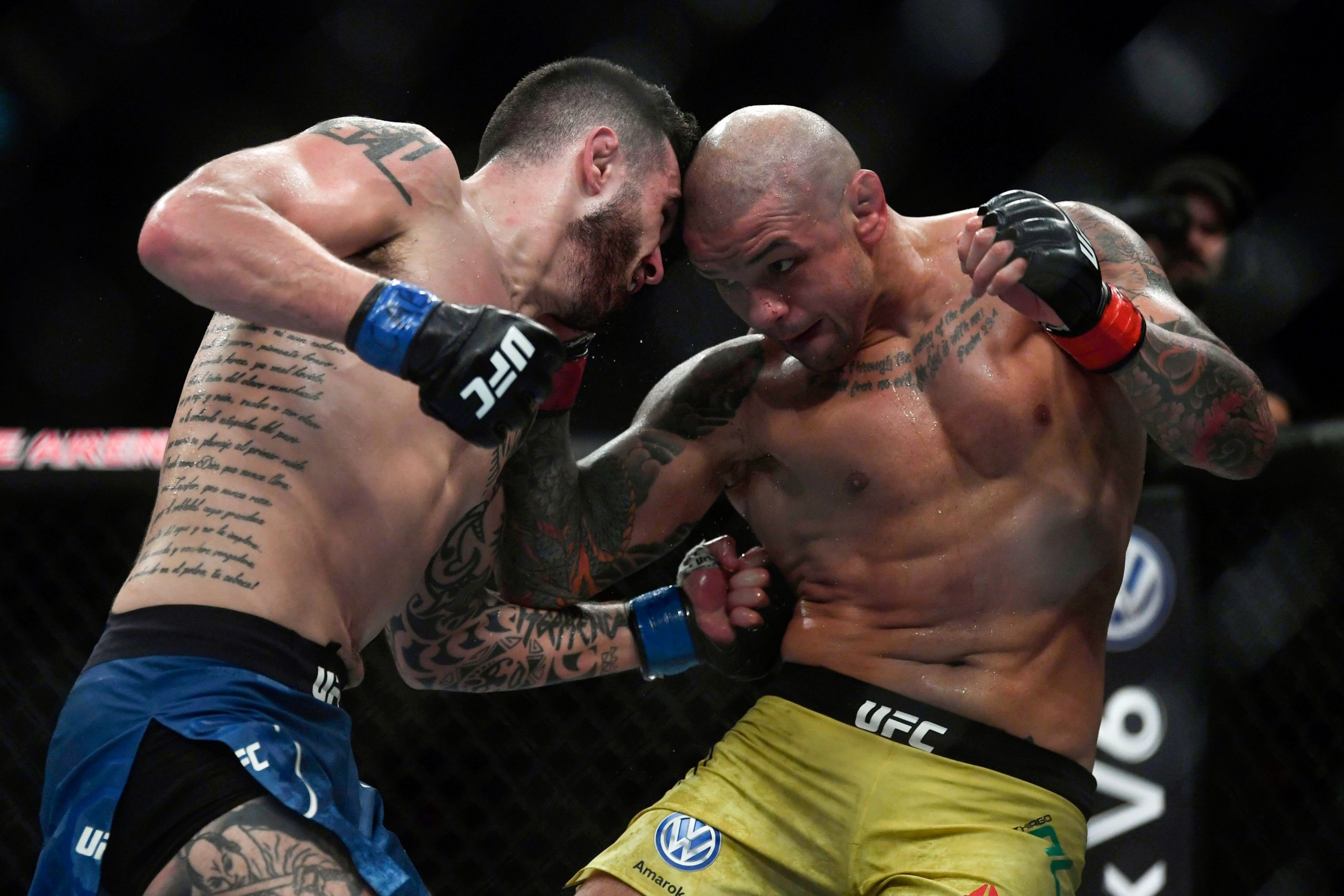 Thiago Alves photo 2