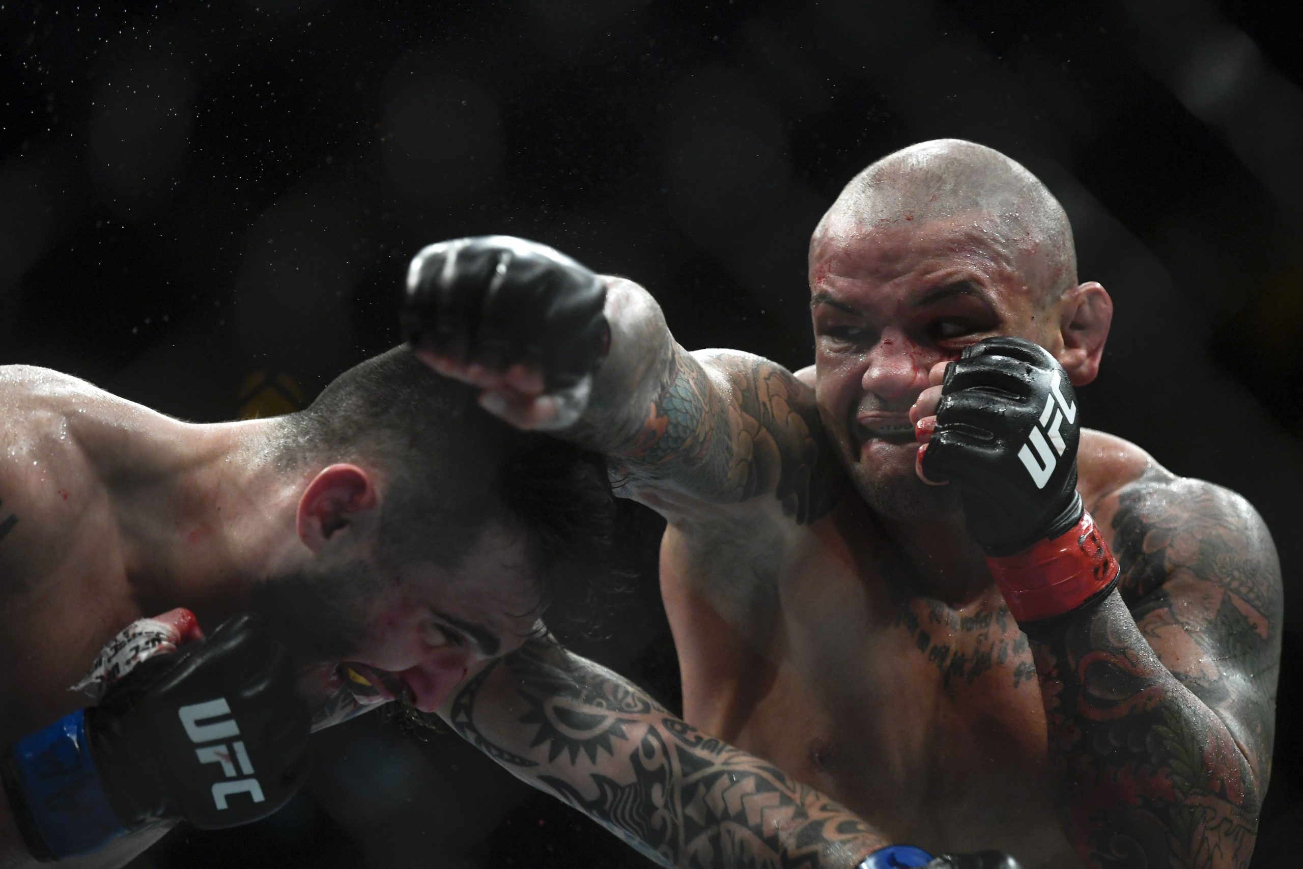 Thiago Alves photo 3