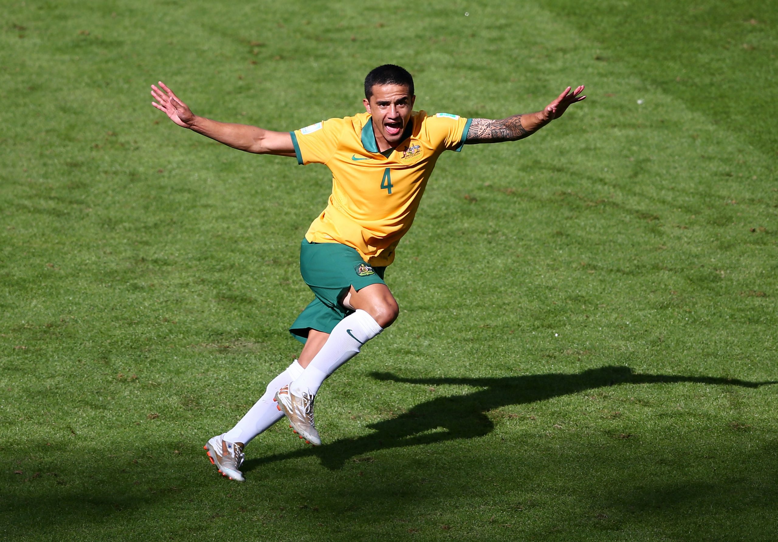 Tim Cahill photo