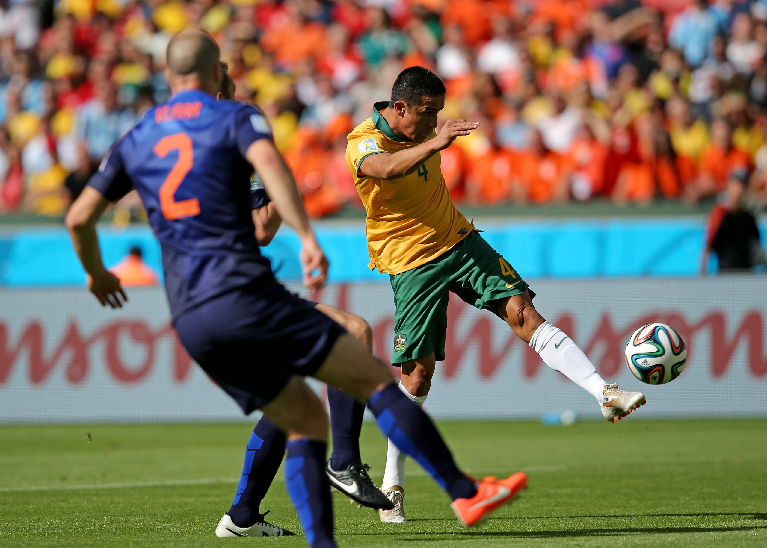 Tim Cahill photo 3