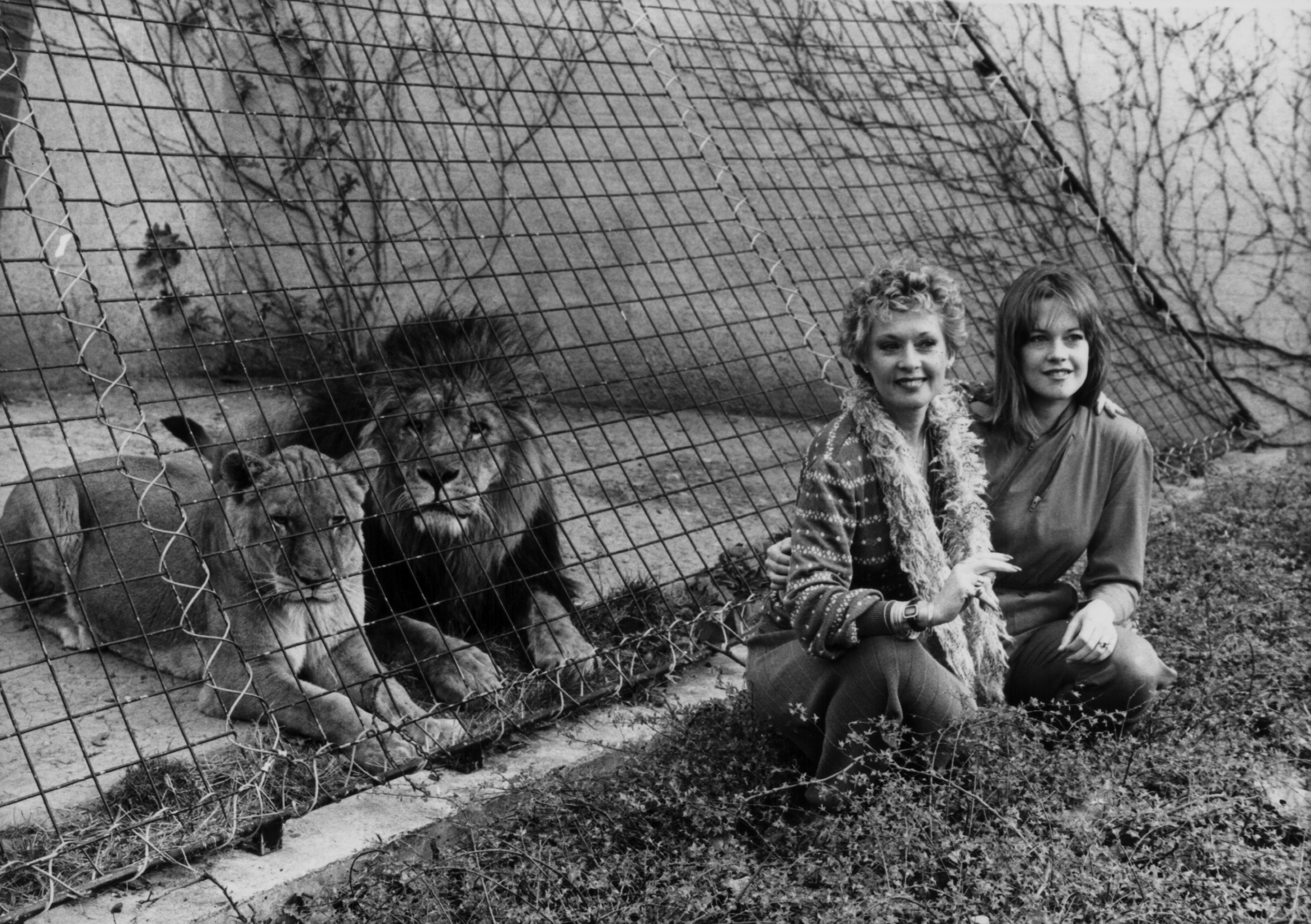 Tippi Hedren photo