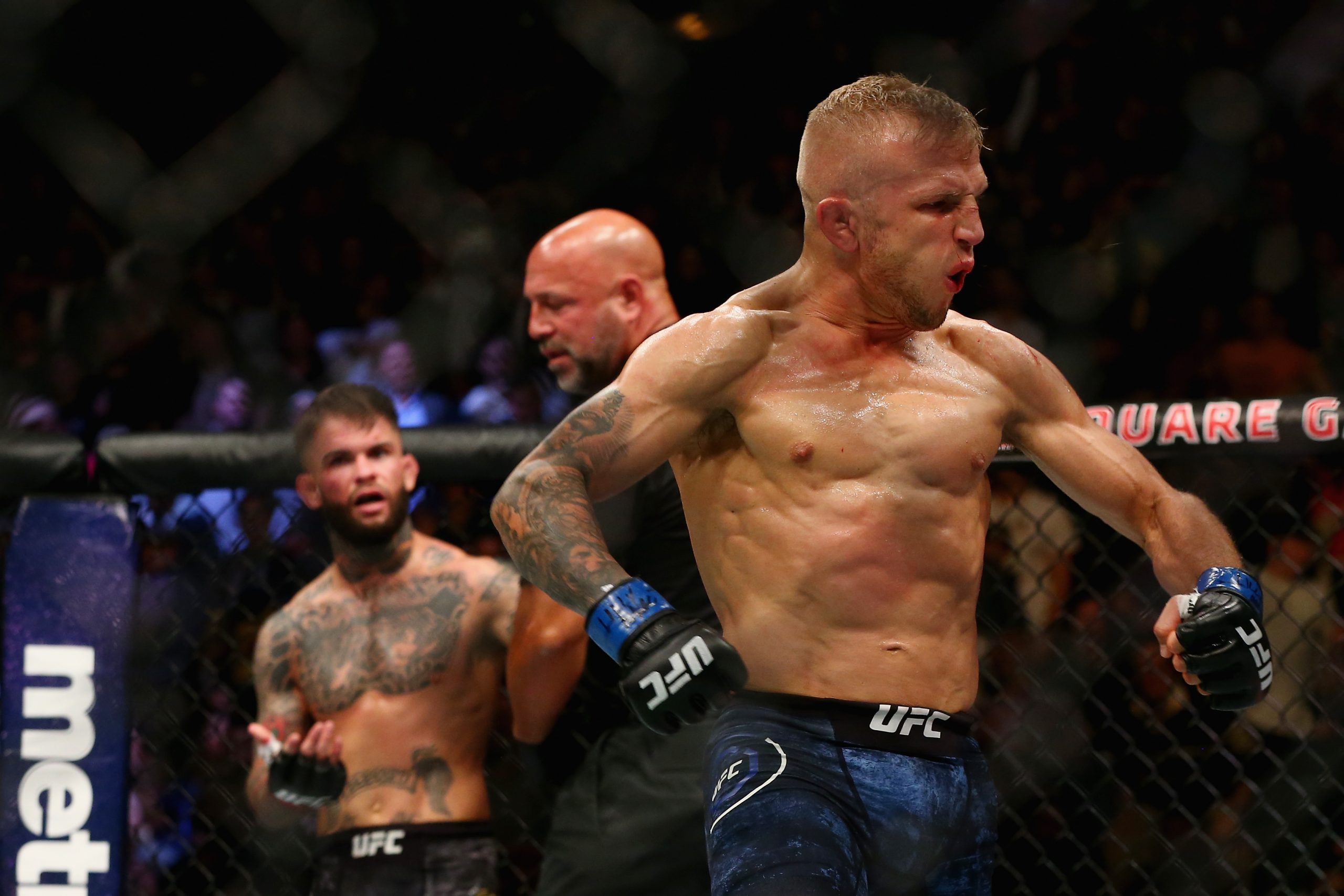 T.J. Dillashaw photo