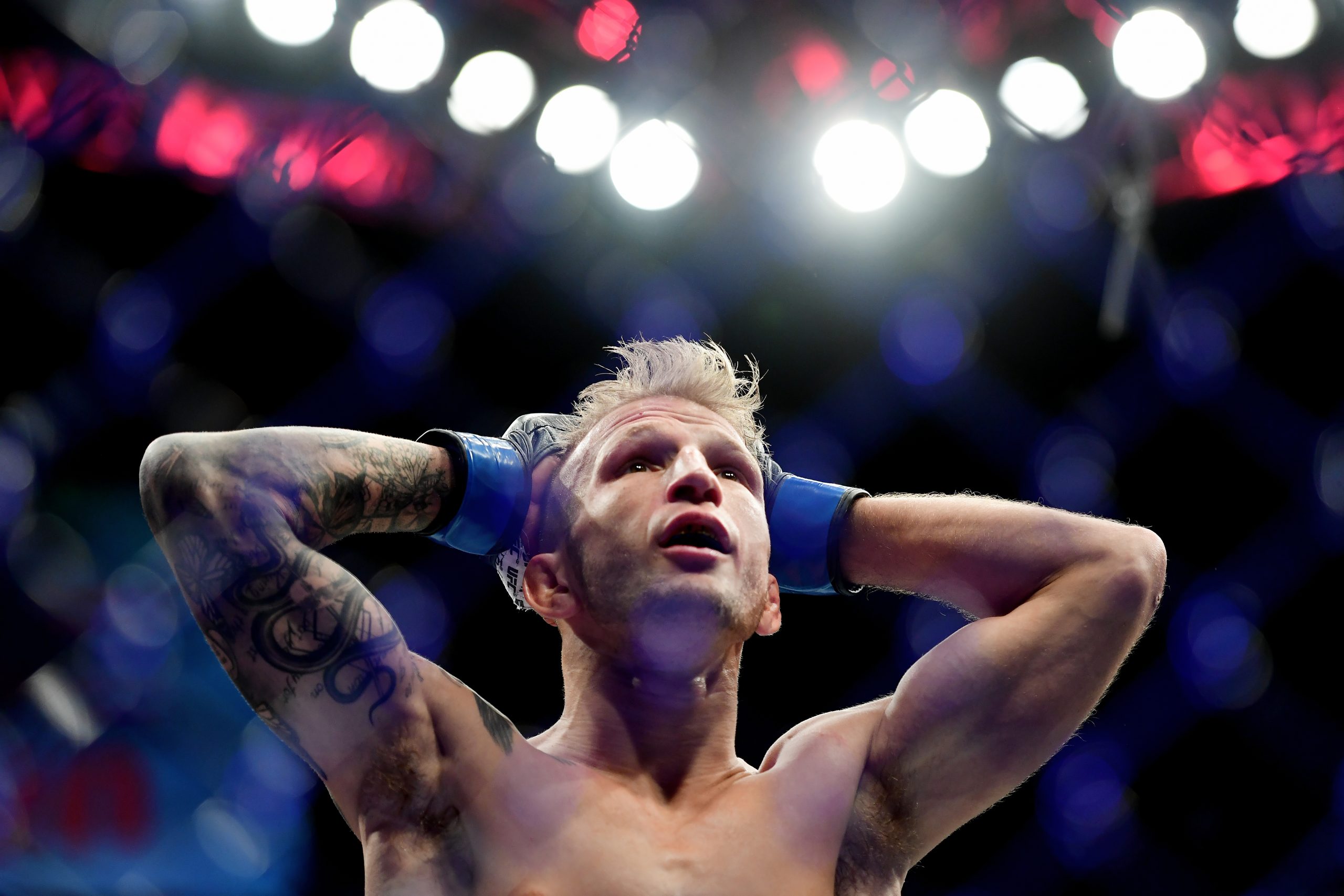 T.J. Dillashaw photo 3