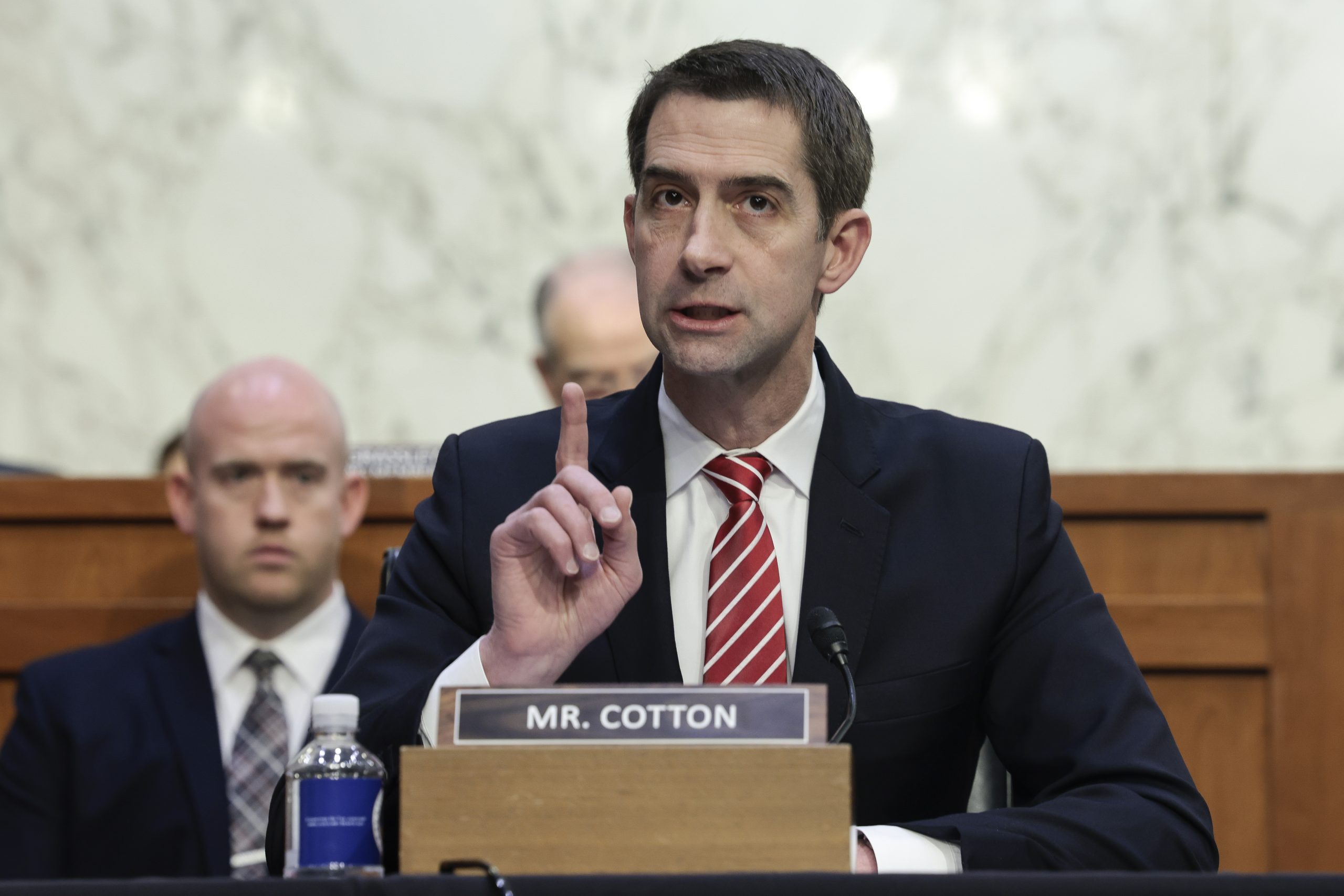 Tom Cotton photo 2