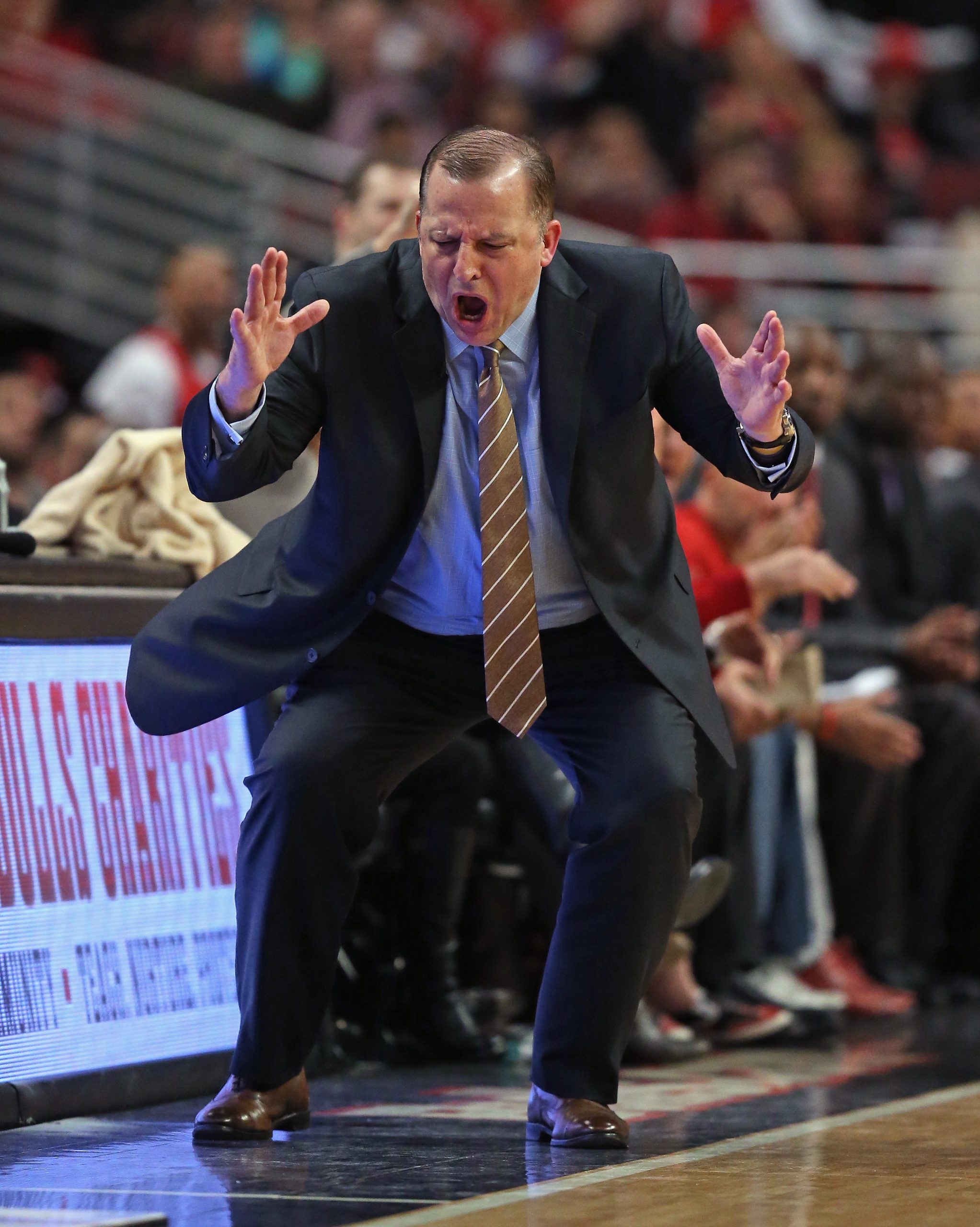 Tom Thibodeau photo