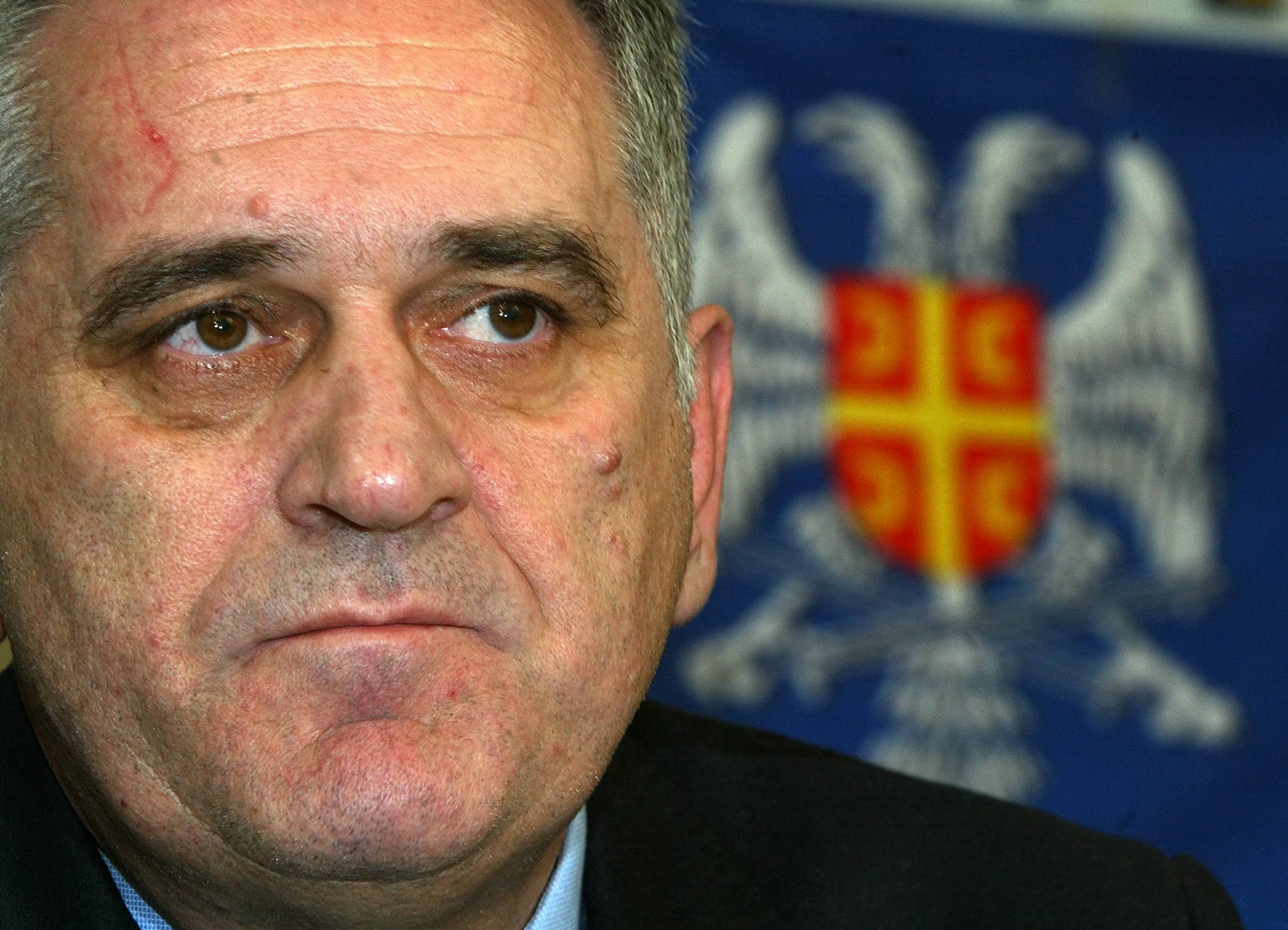 Tomislav Nikolić photo 2