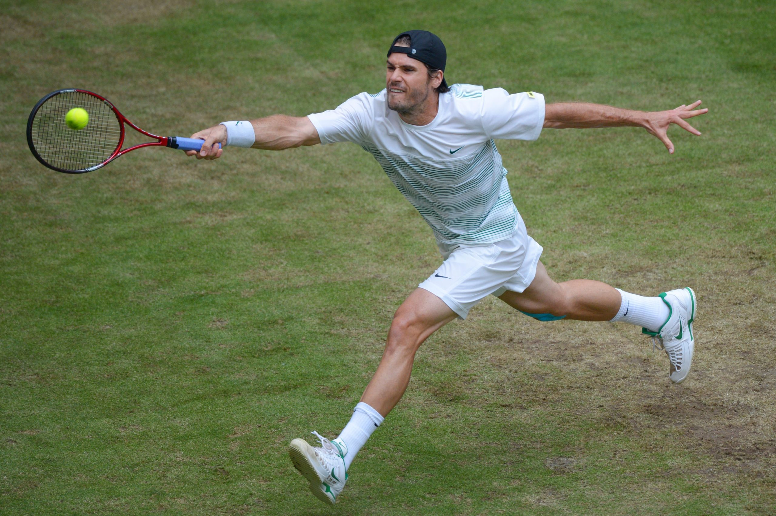 Tommy Haas photo 2