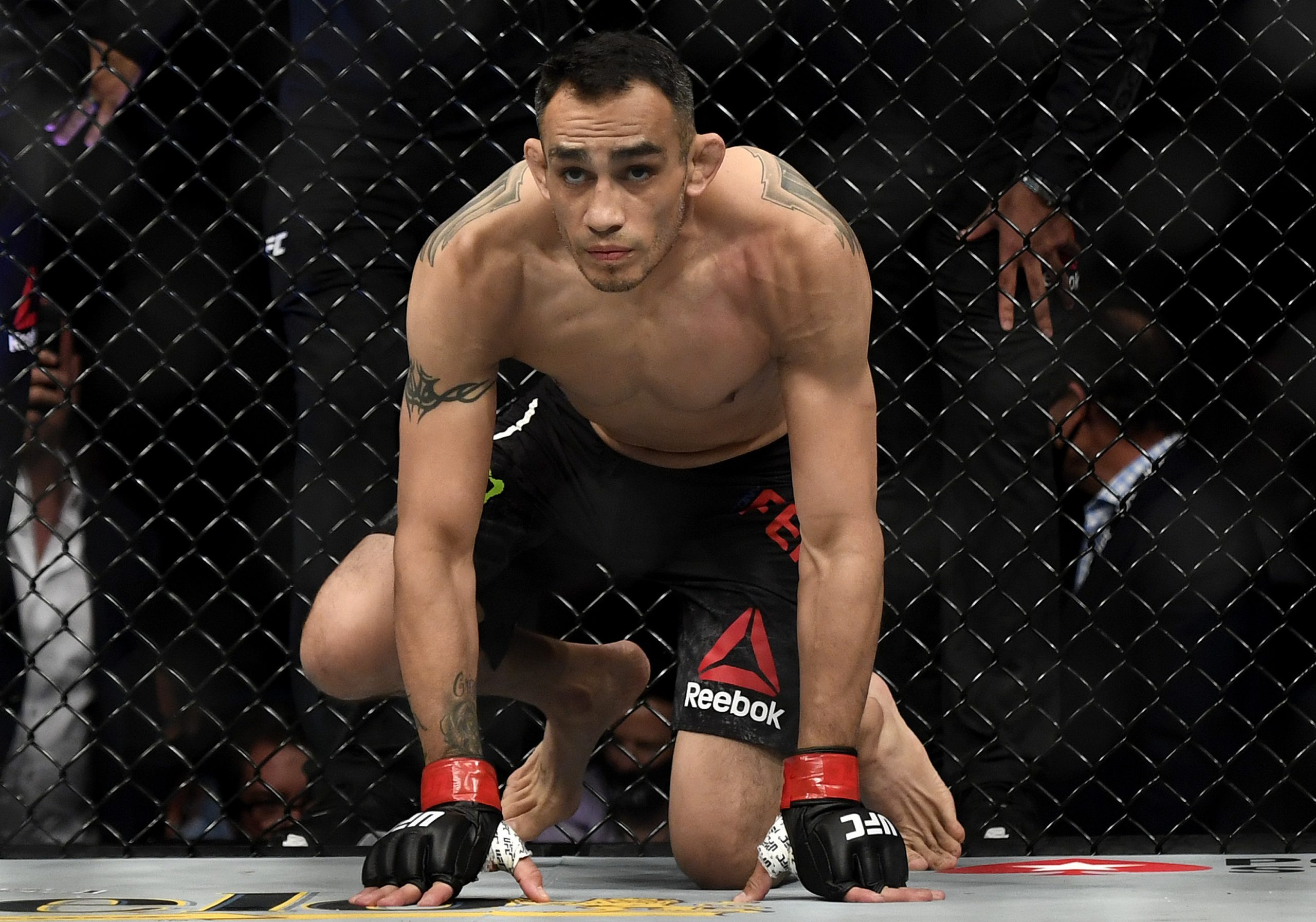 Tony Ferguson photo