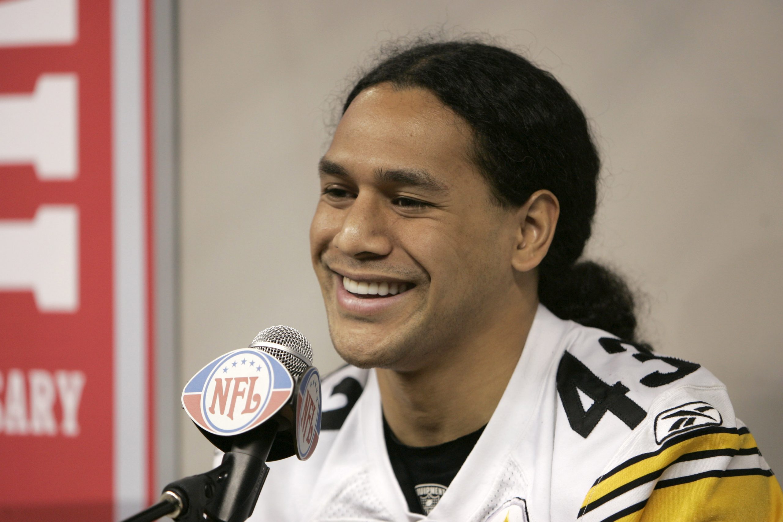 Troy Polamalu photo 2