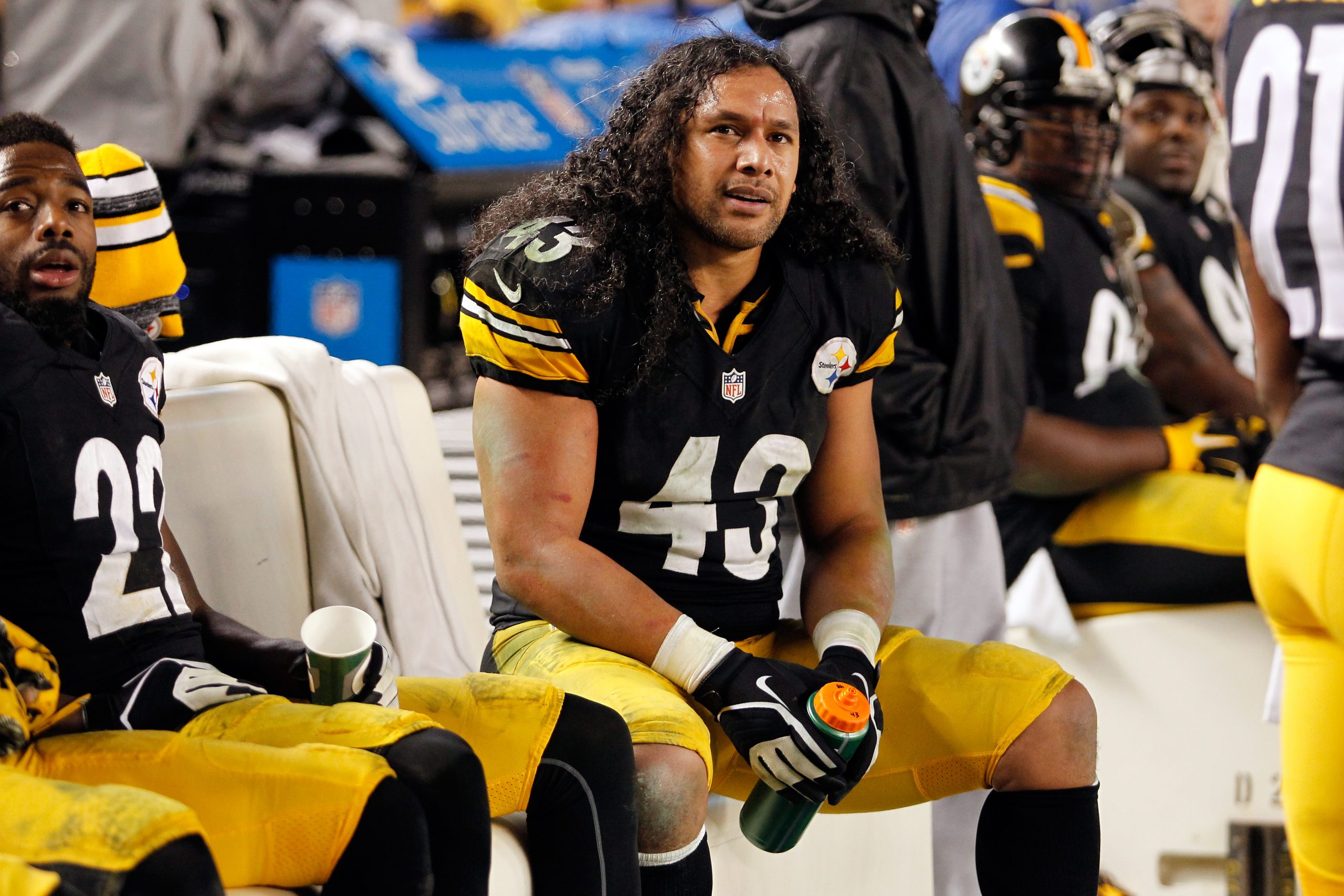 Troy Polamalu photo 3