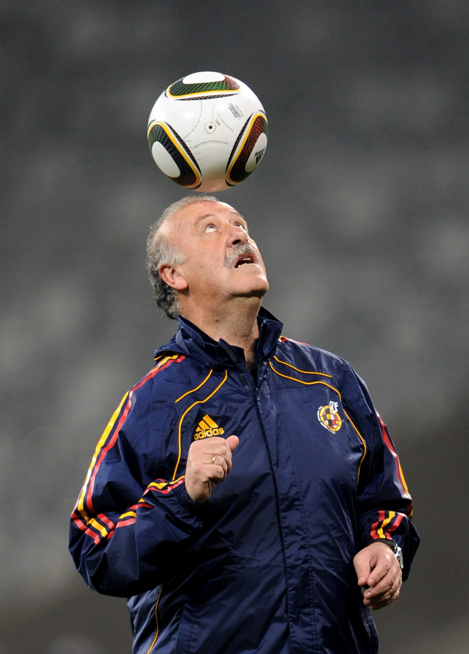 Vicente del Bosque photo