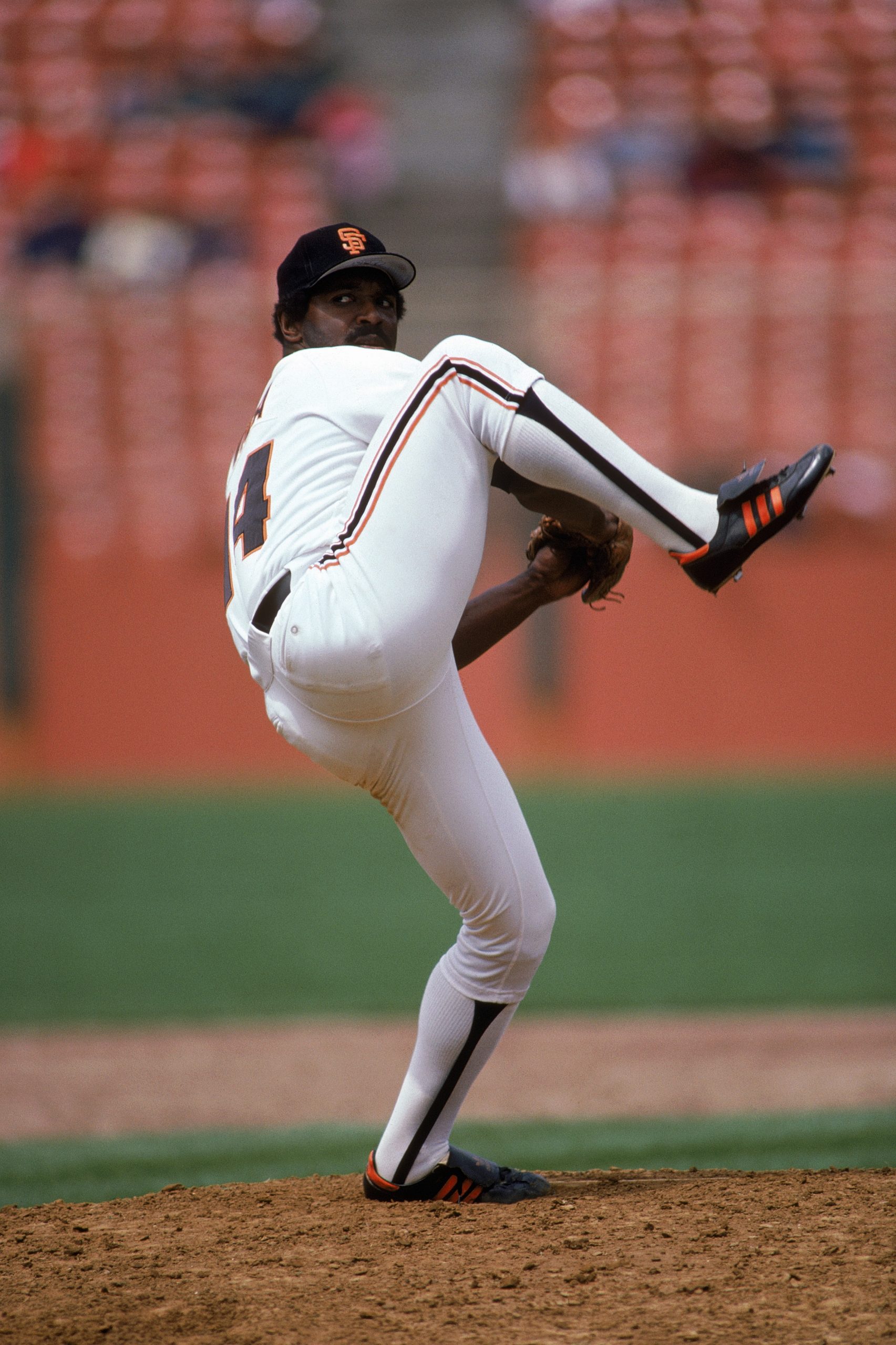 Vida Blue photo 2