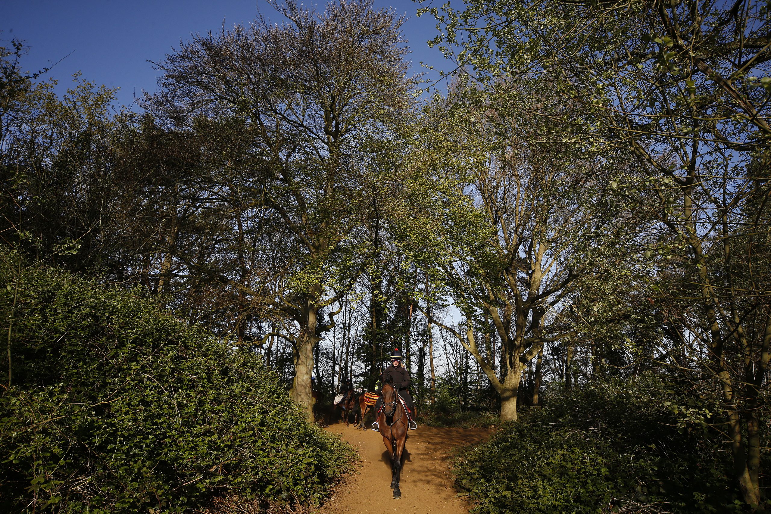 Warren Hill photo