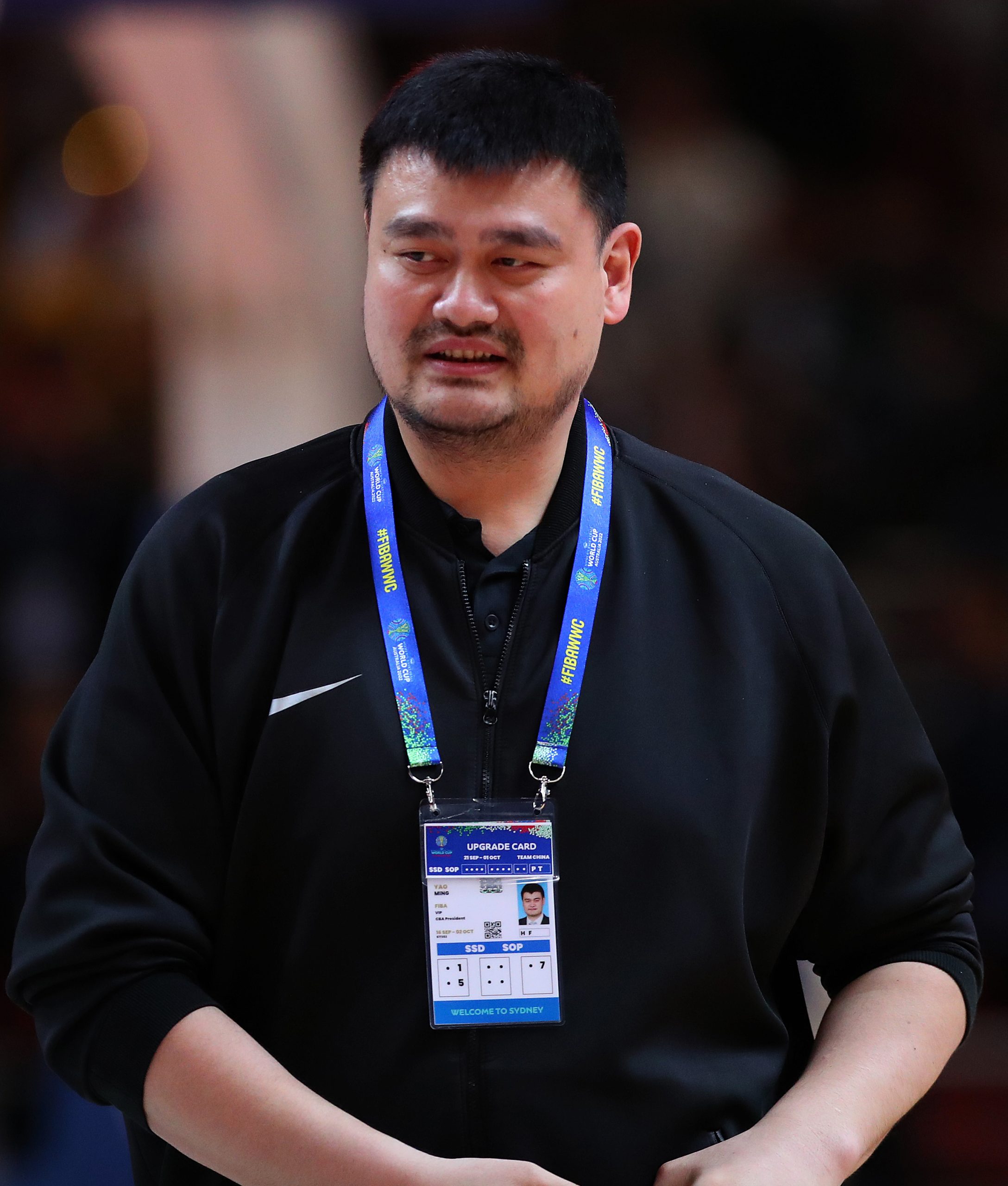 Yao Ming photo