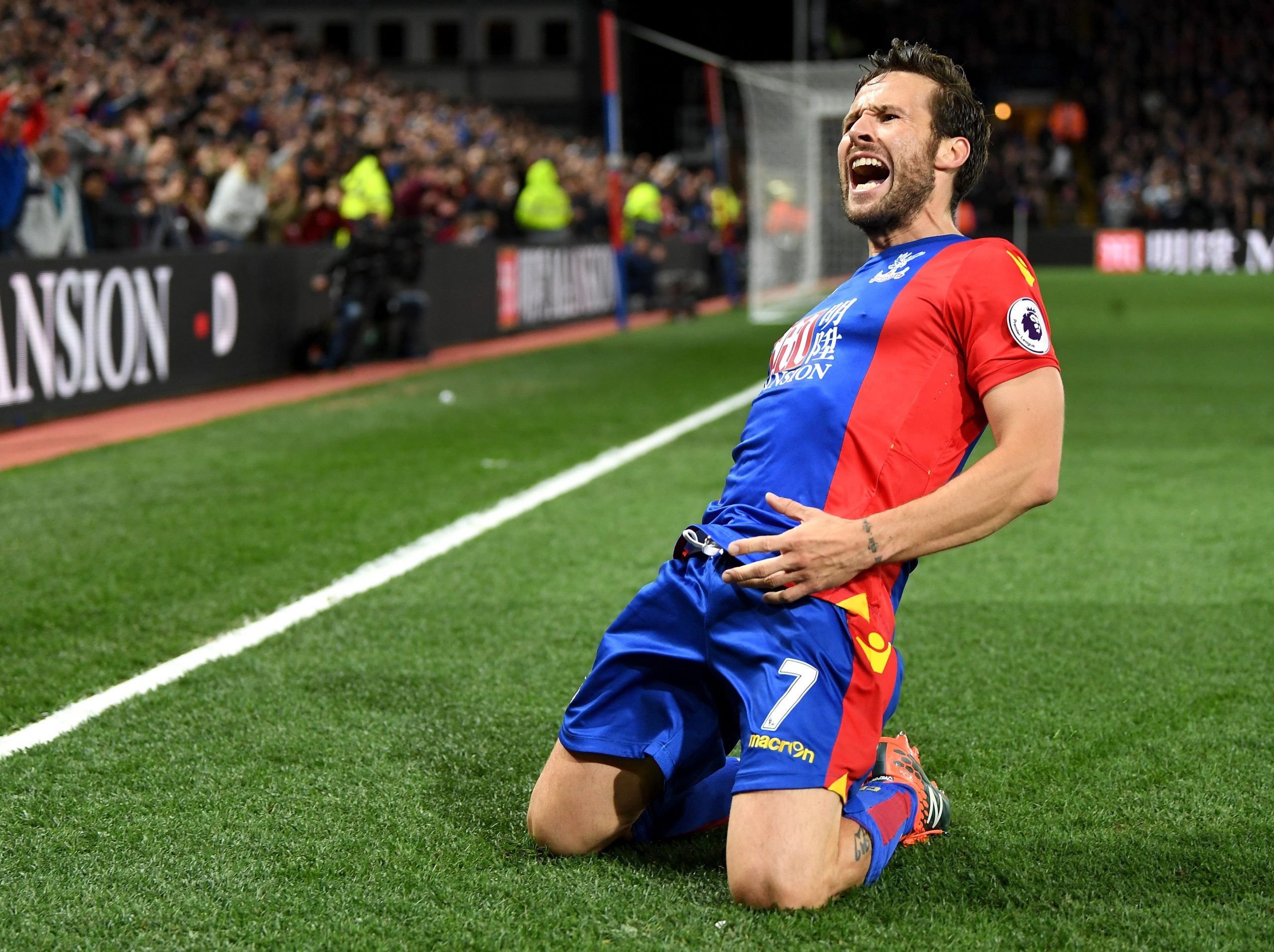 Yohan Cabaye photo