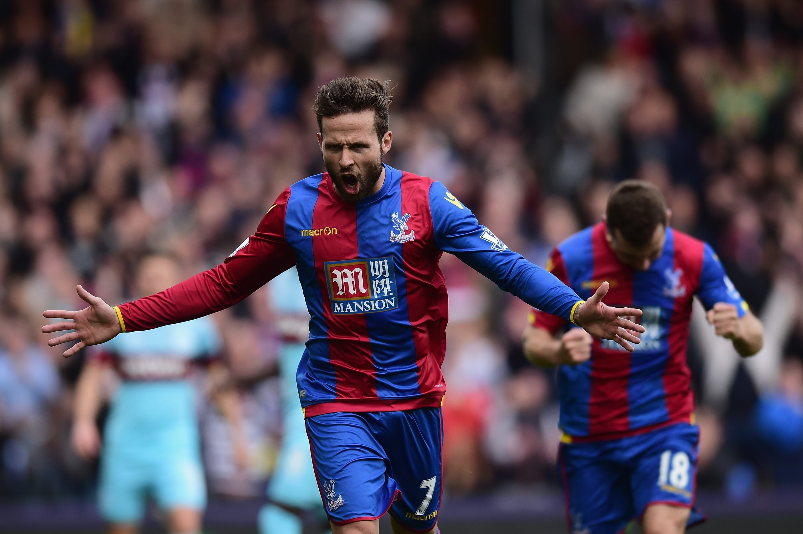 Yohan Cabaye photo 3