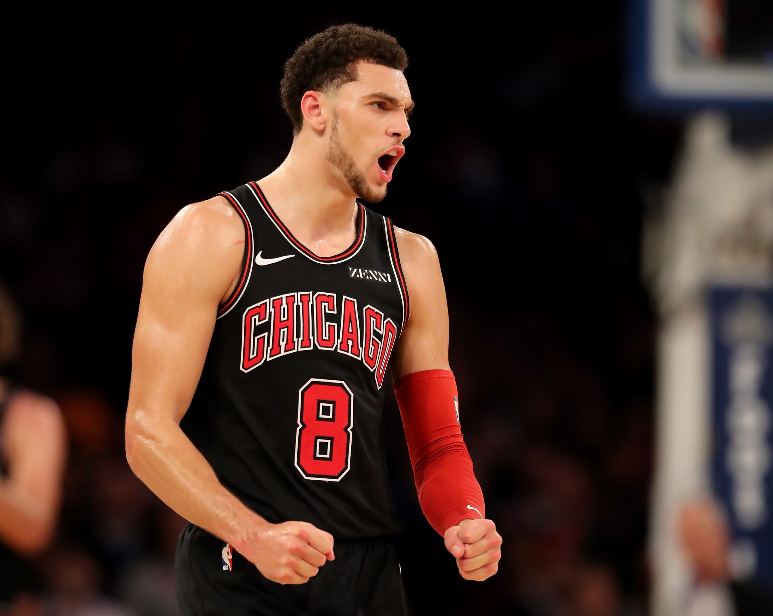 Zach LaVine photo