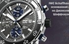 IWC - только мужские часы