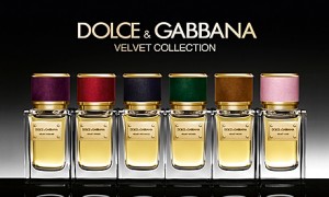 Красота и здоровье : Velvet Collection – это новая коллекция ароматов от Dolce & Gabbana