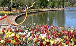 Floriade