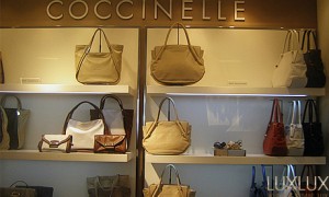 Coccinelle