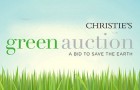 Зеленый аукцион