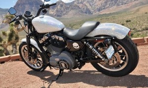 Сверкающий Sportster Nightster от Harley-Davidson