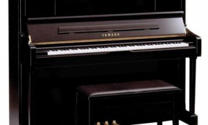 ТОП-10 брендов пианино